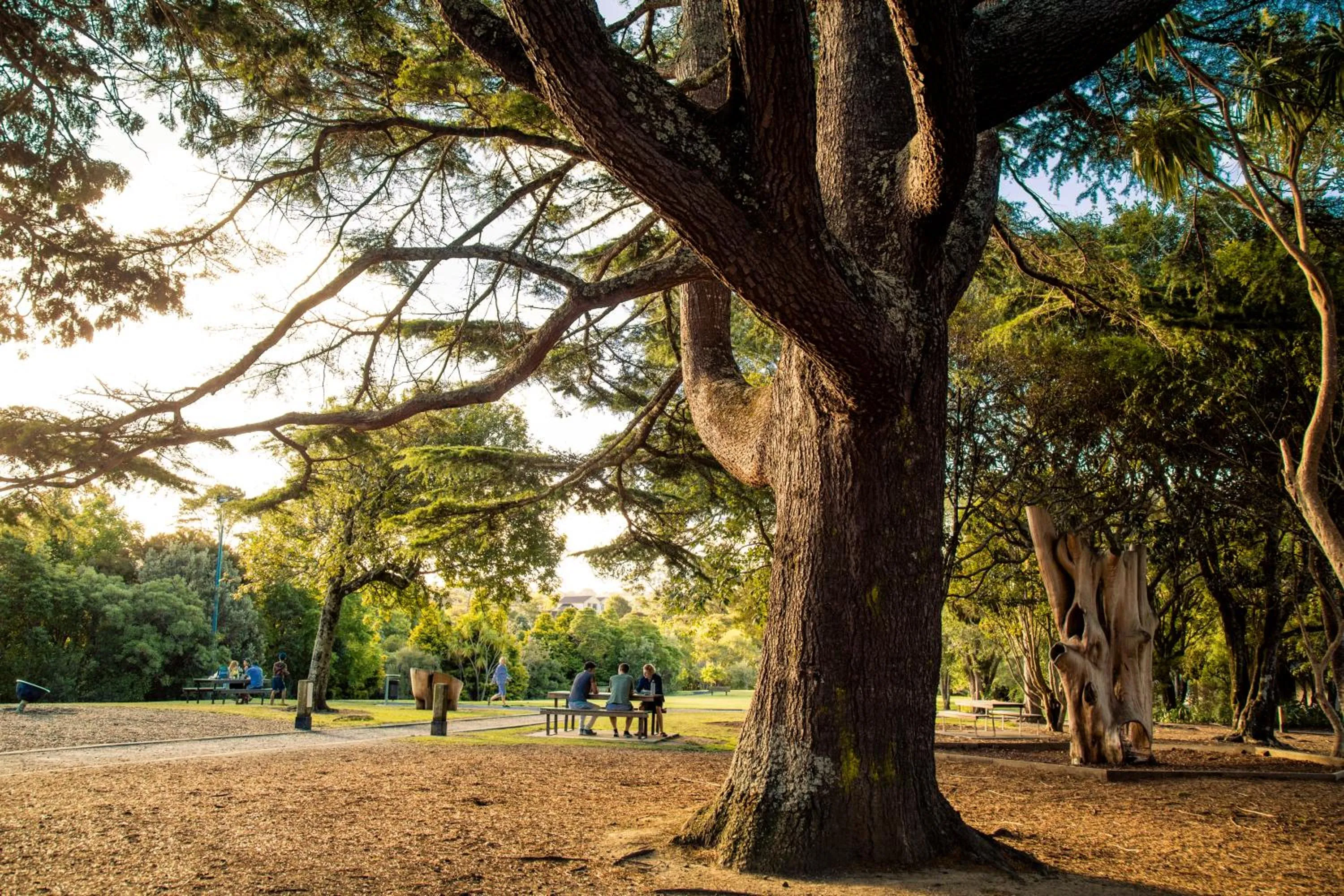 Natural landscape in Quest Albany Serviced Apartments