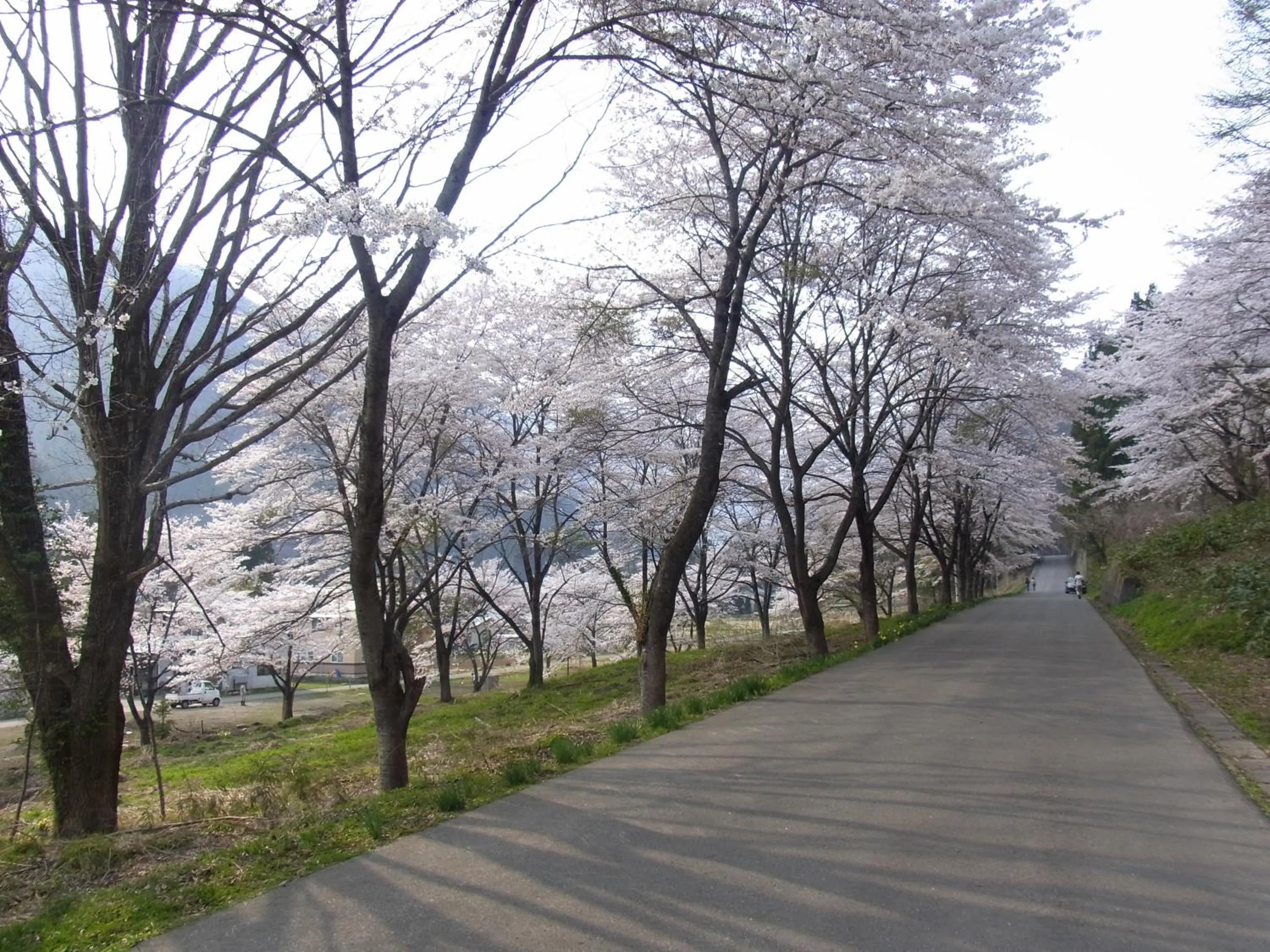 Spring in Ryokan Tanigawa