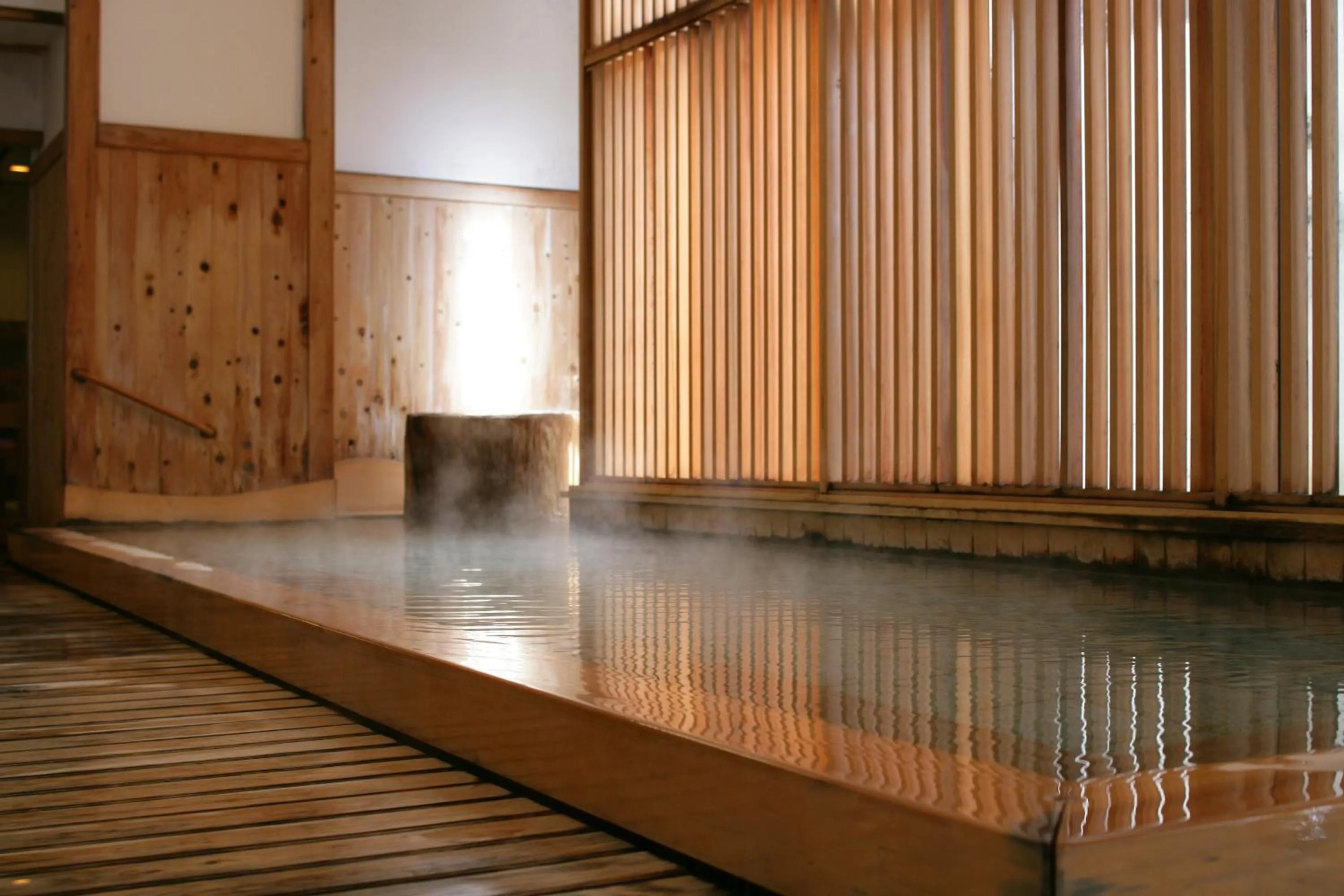 Hot Spring Bath in Ryokan Tanigawa