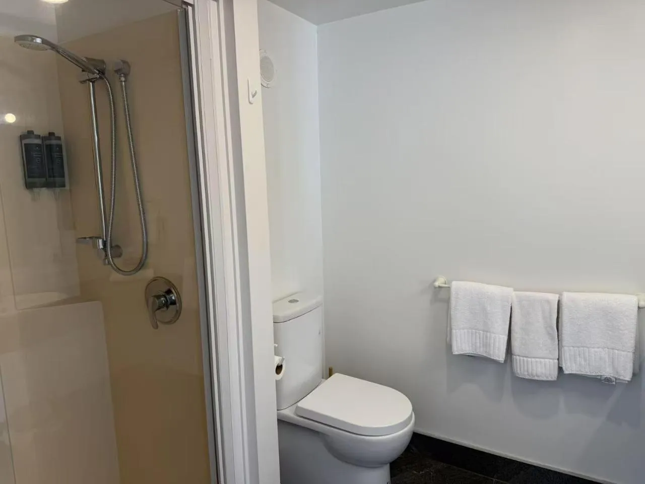 Bathroom in Wallaceville Motor Lodge