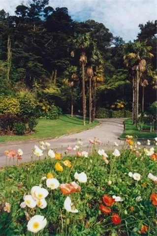 Spring in Wallaceville Motor Lodge