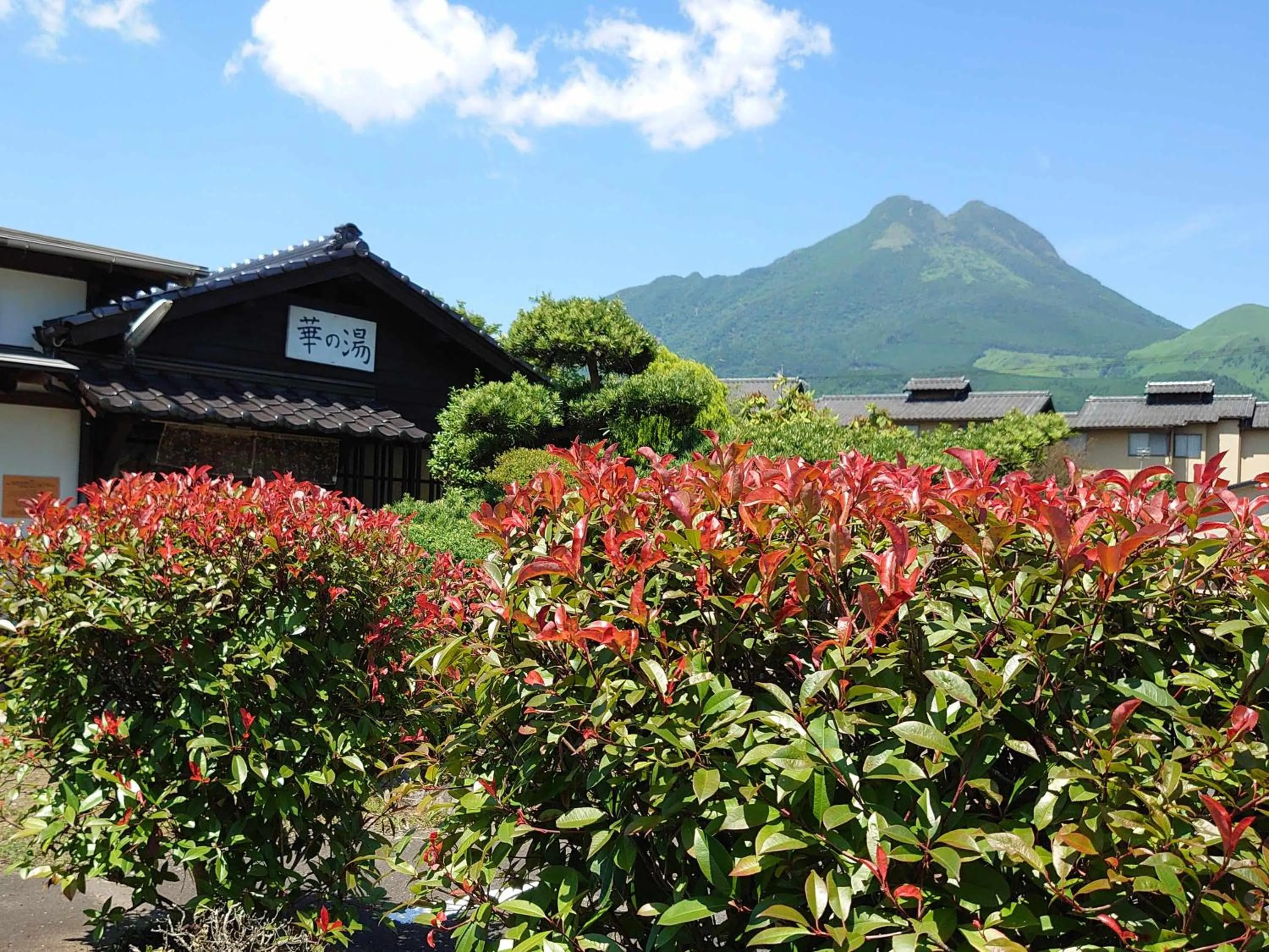 Mountain view in Yufuin Onsen Hasuwa Inn
