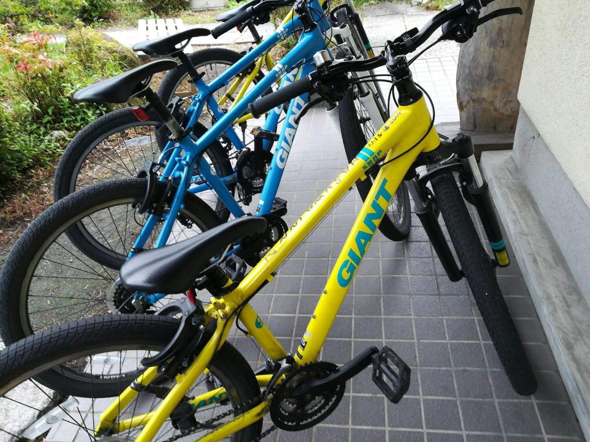 Cycling in Yufuin Onsen Hasuwa Inn