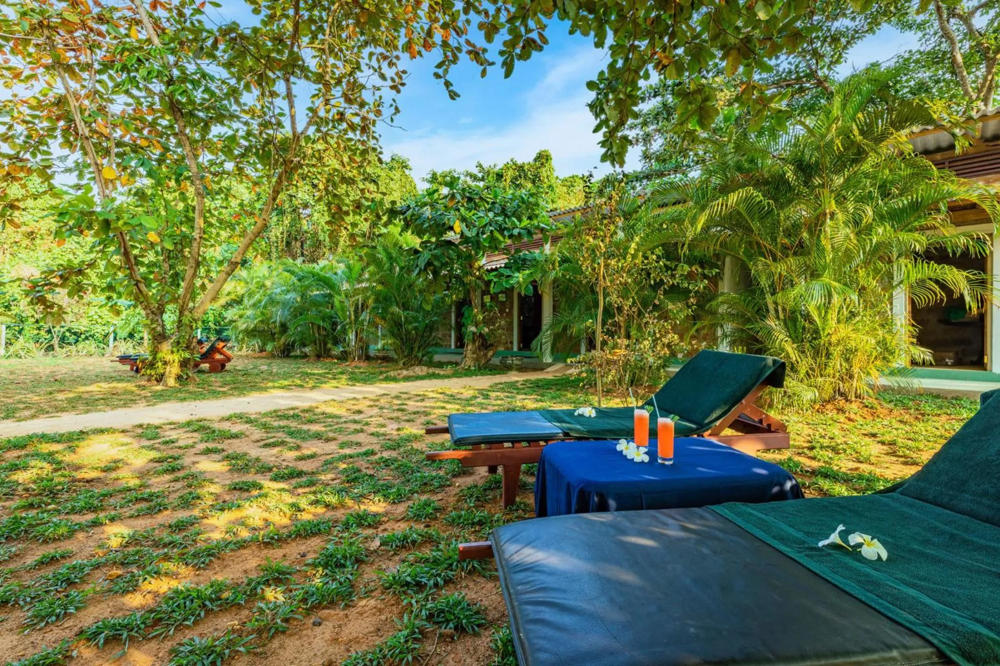 Spa and wellness centre/facilities in Sath Villa Naadi Ayurveda Resort