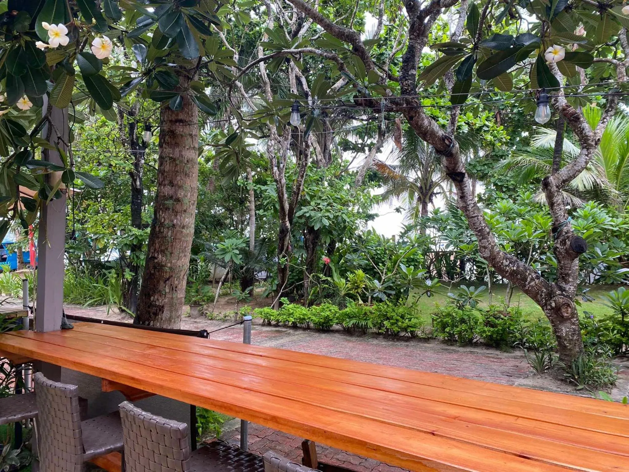 Garden in Aissatou Beach Resort