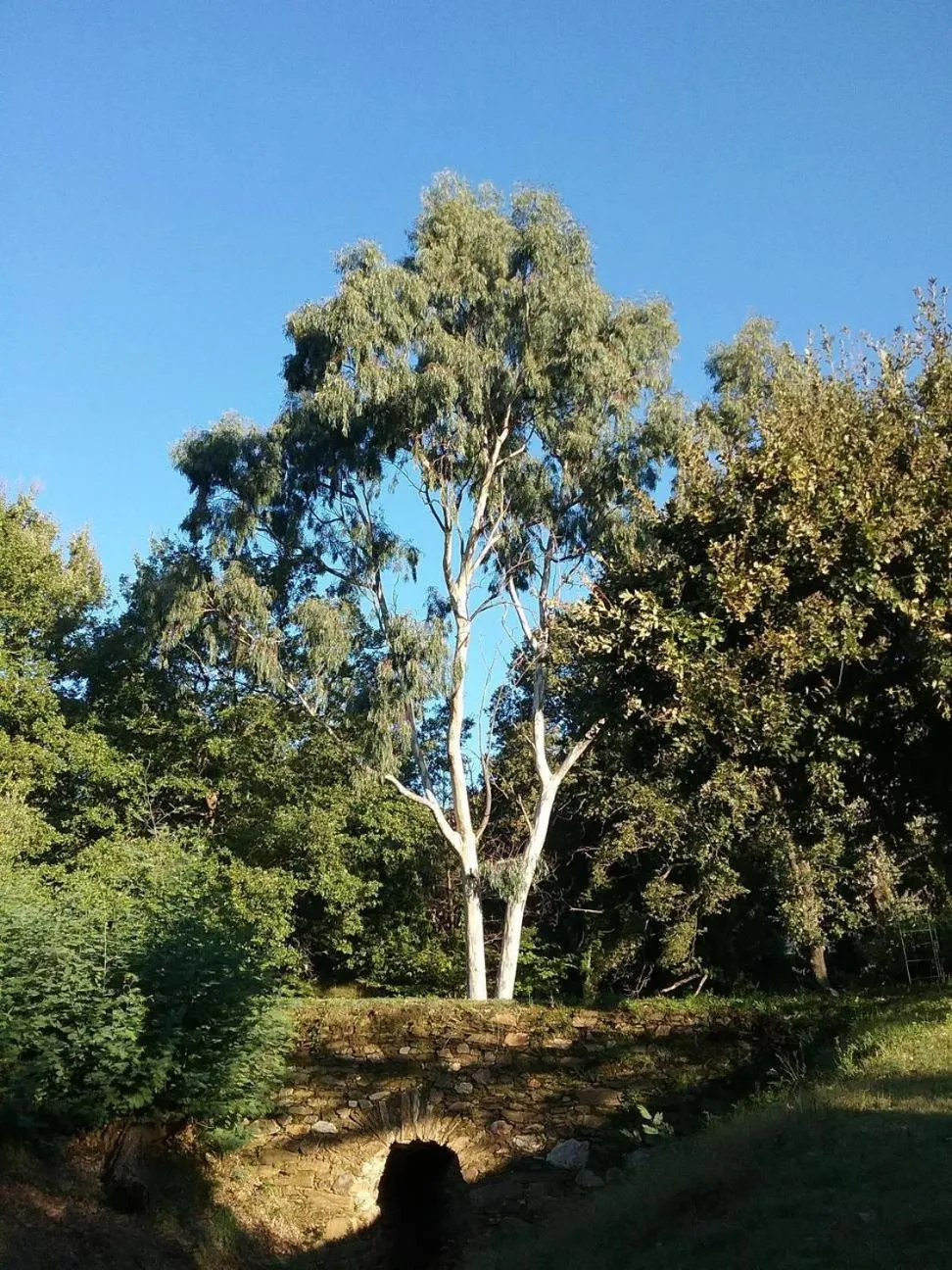 Property building in Villa Fontane Cottage