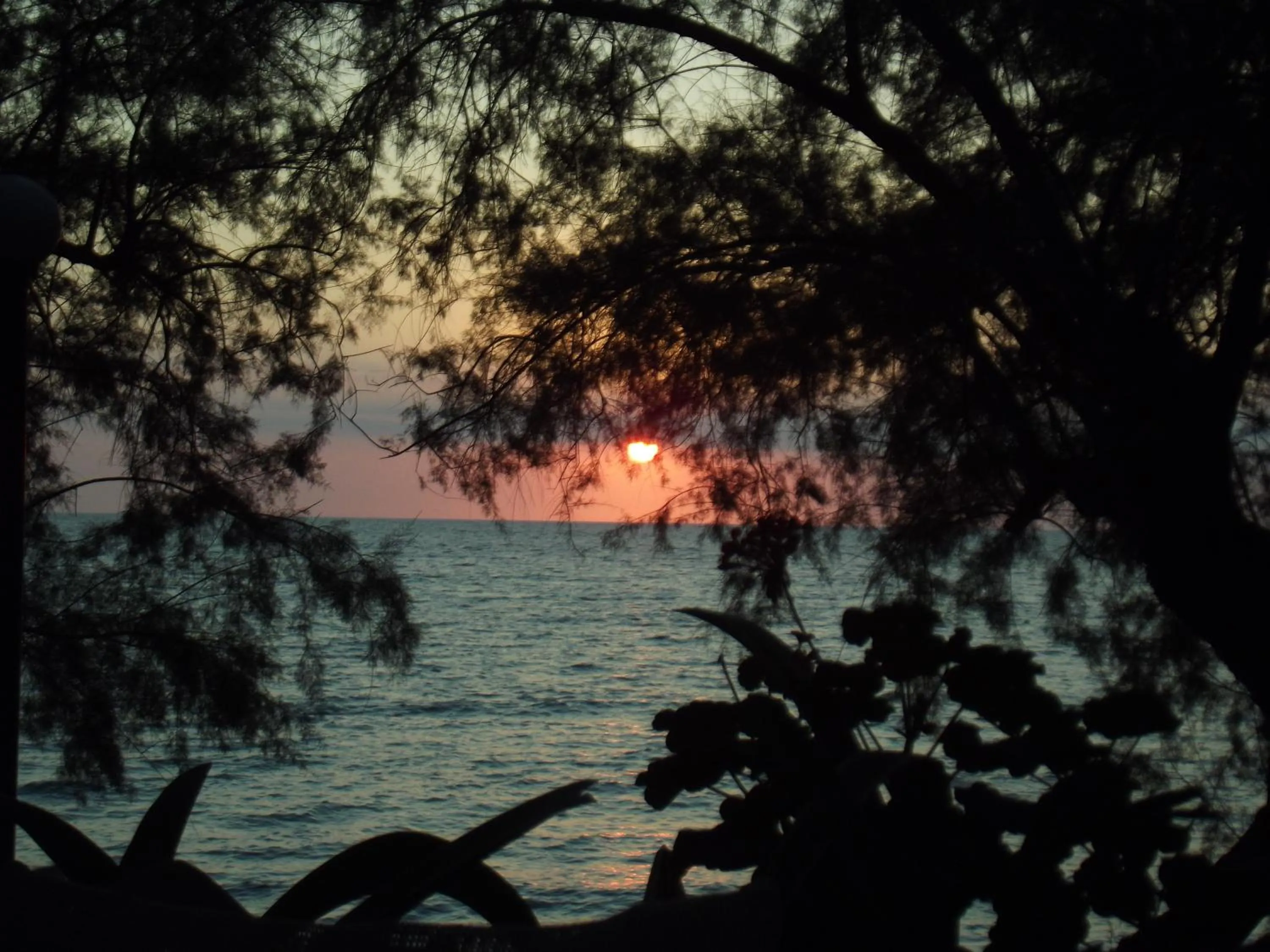 View (from property/room) in Hotel Molyvos I