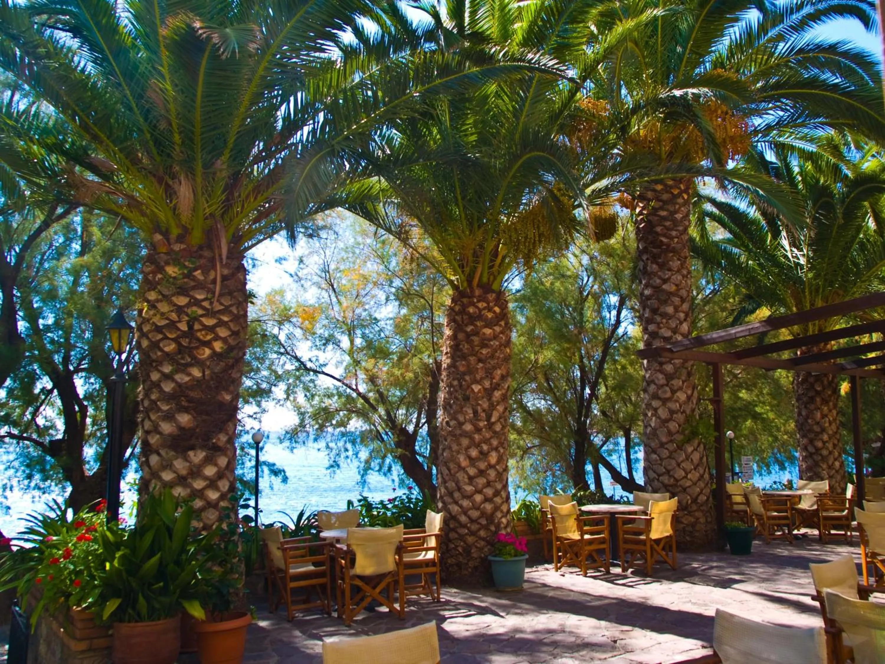 Balcony/Terrace in Hotel Molyvos I