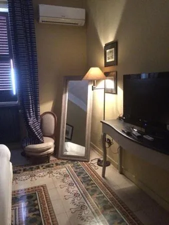 Gatto Bianco Casa Dei Venti