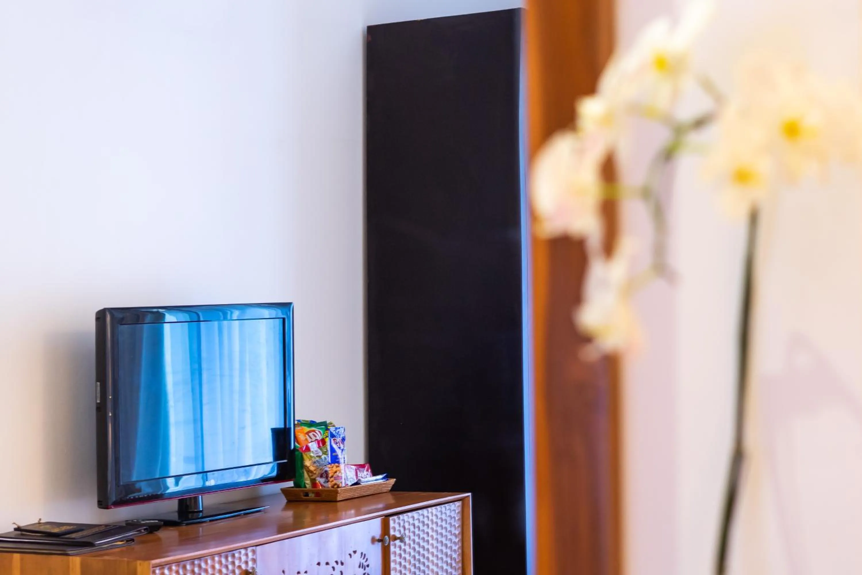 TV and multimedia in Villa Sonia Bisma