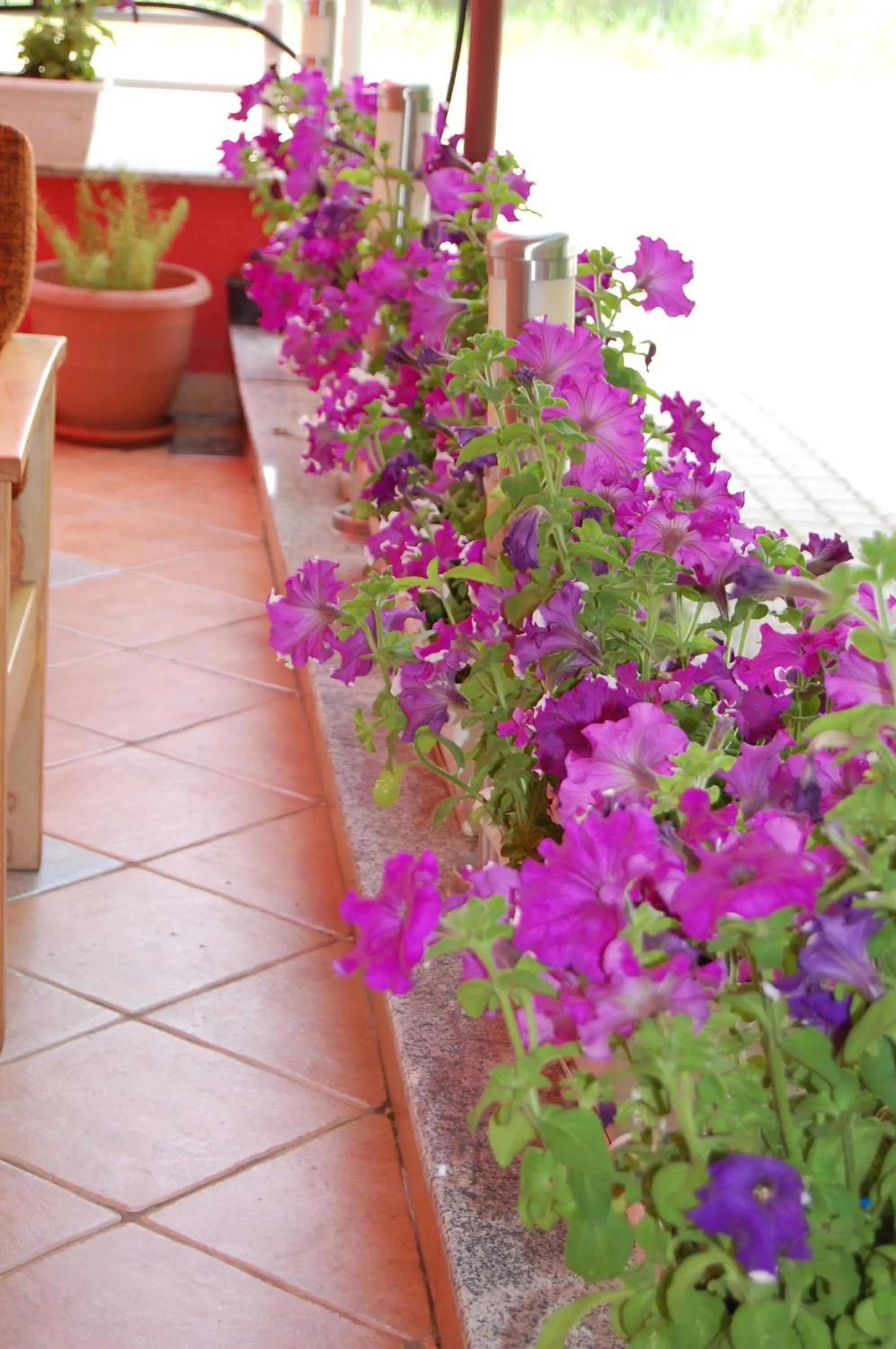 Spring in Villa Rimari
