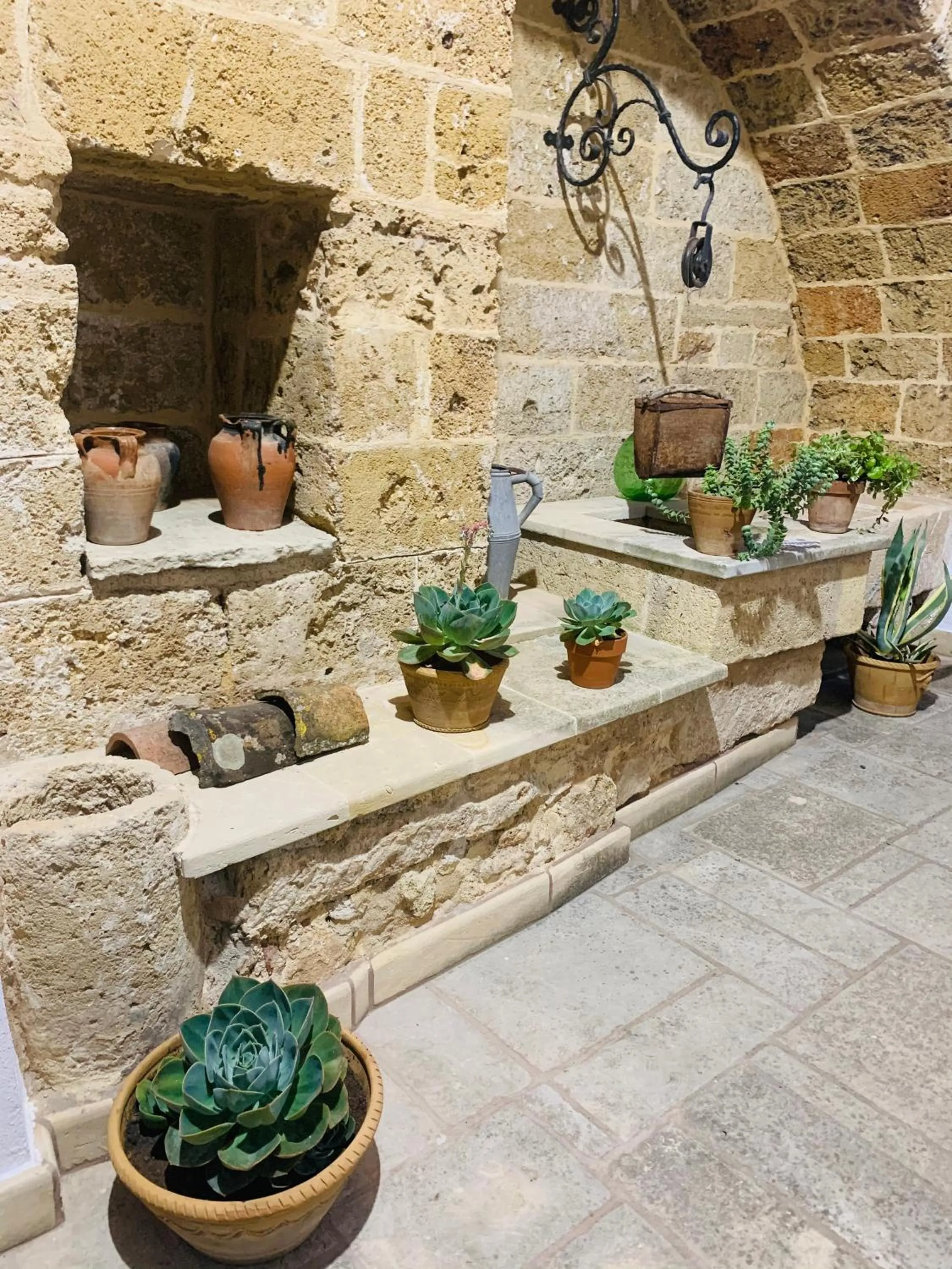 Garden in Nonna Veronica