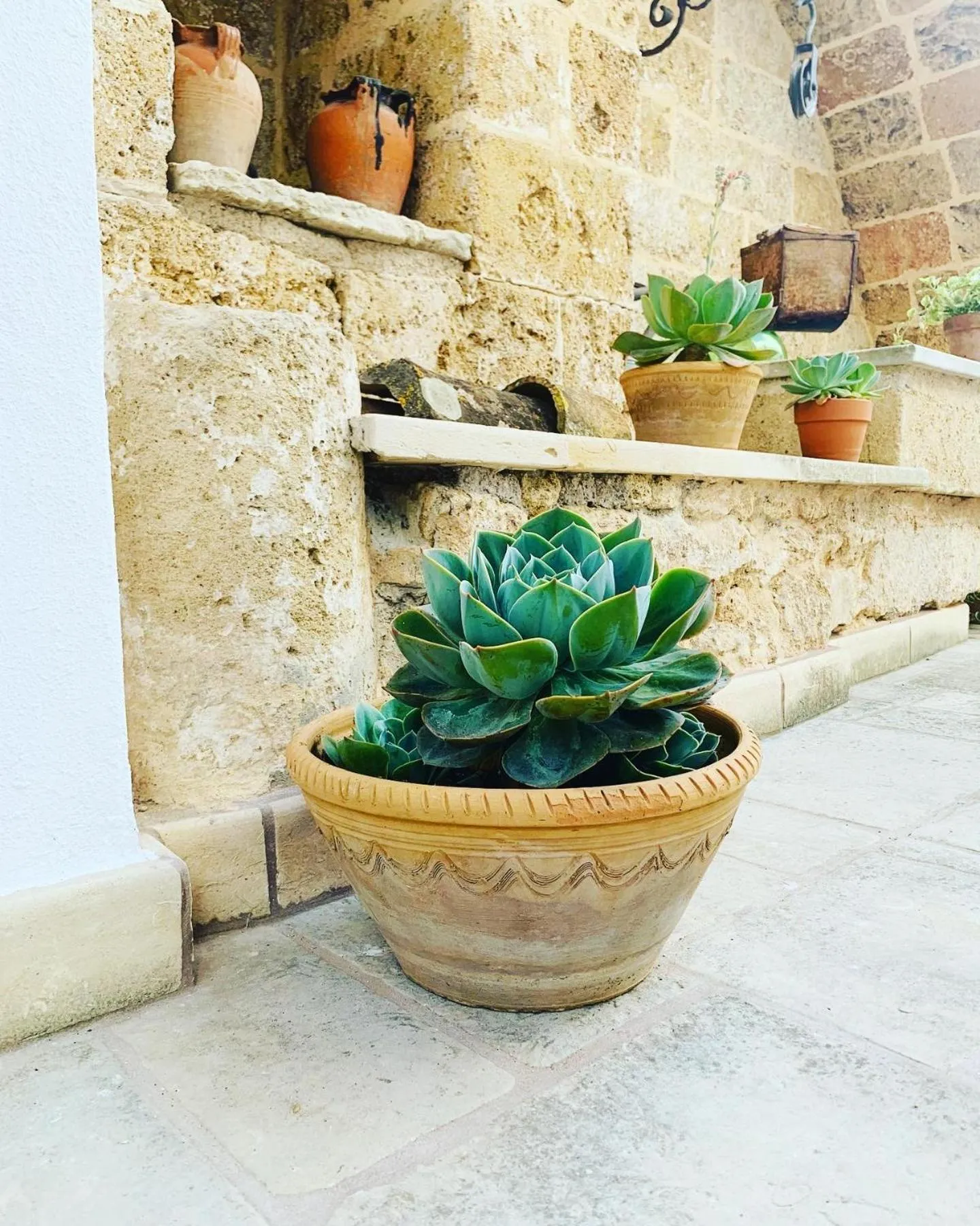 Garden in Nonna Veronica