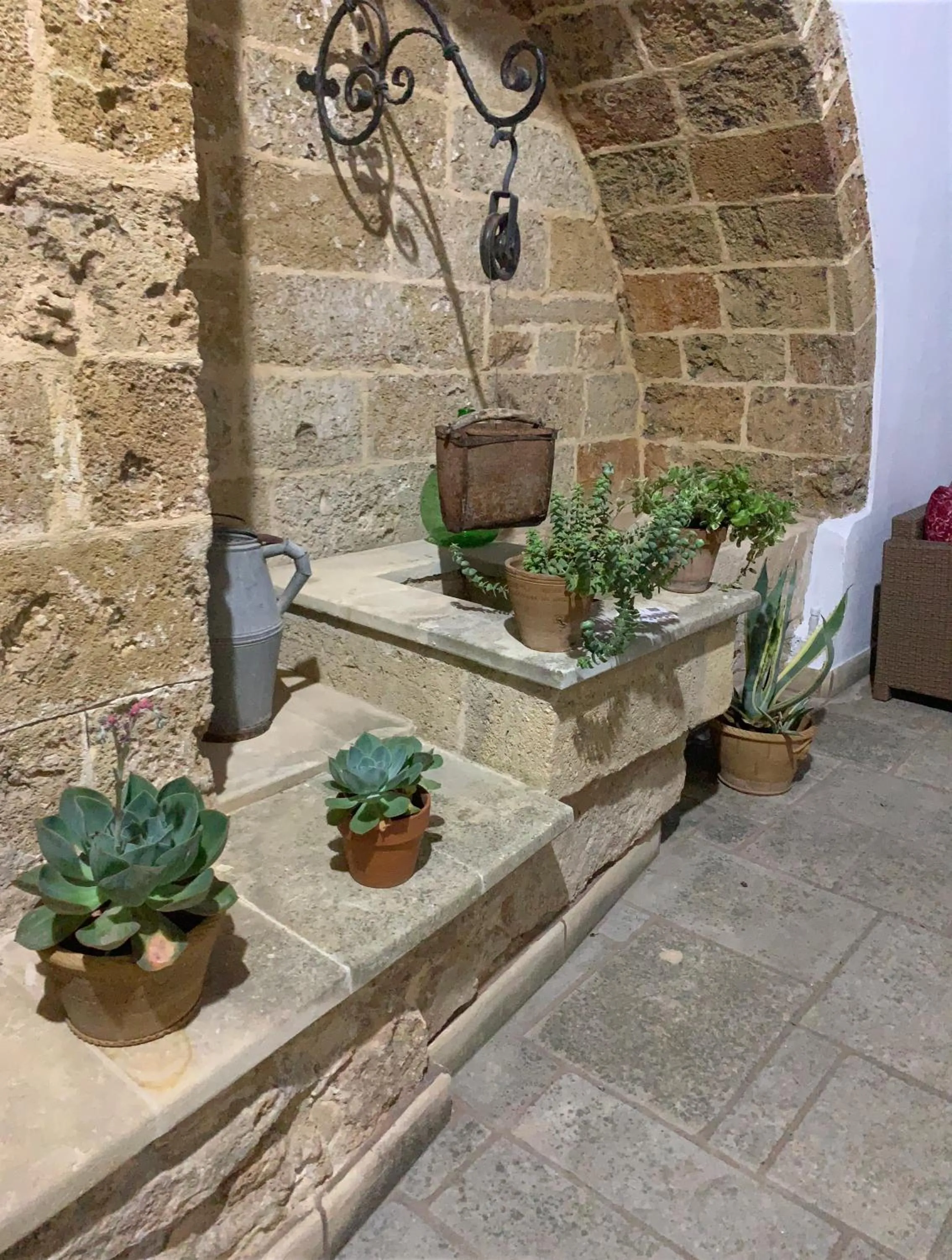 Garden in Nonna Veronica