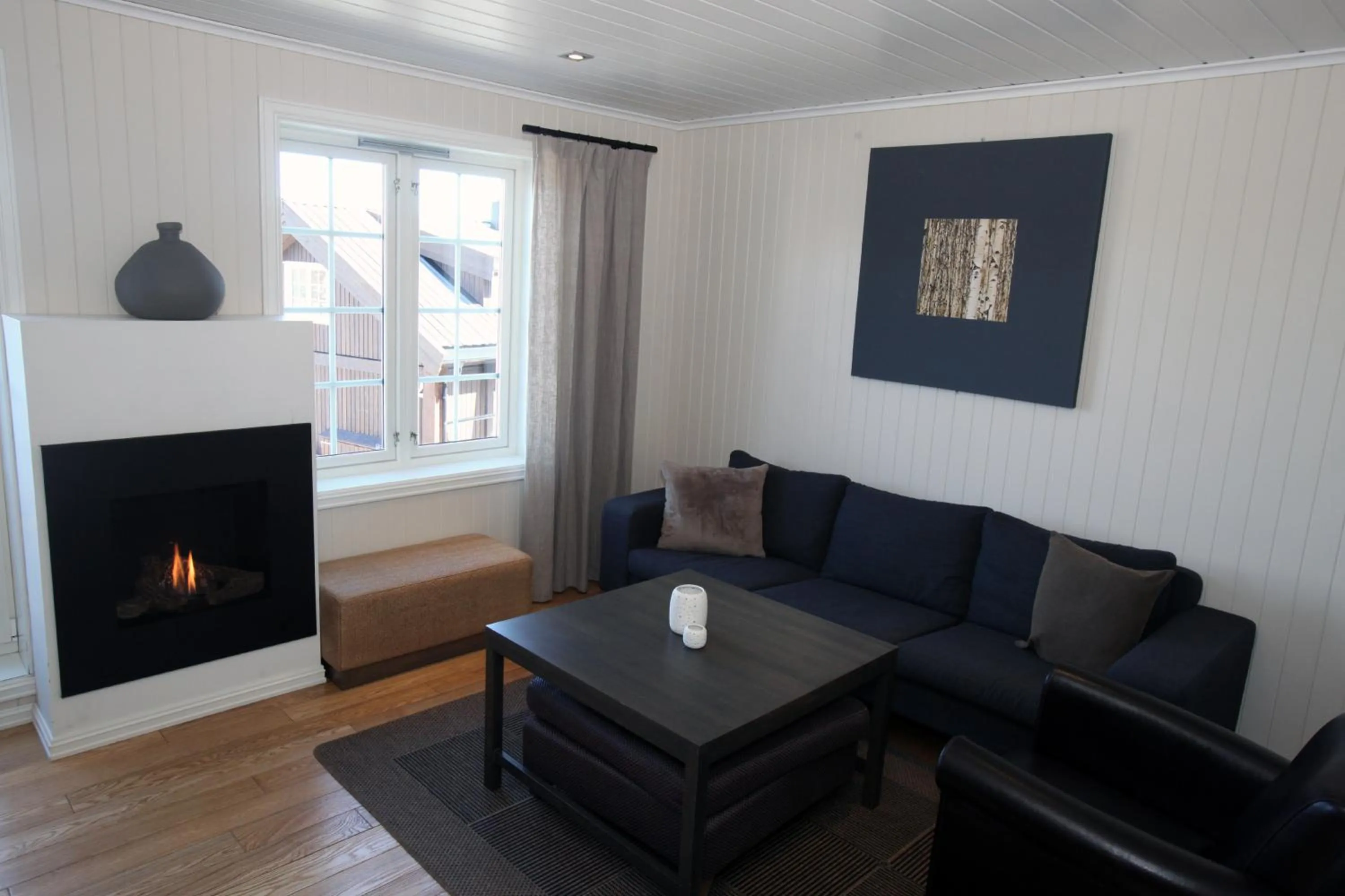 Living room in Havsdalsgrenda Geilo Apartments