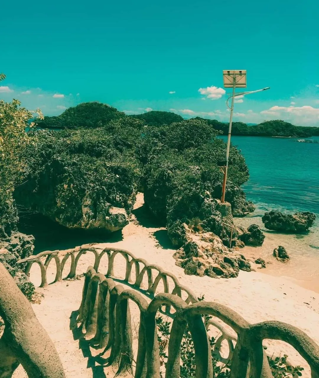 Carribean Transient House