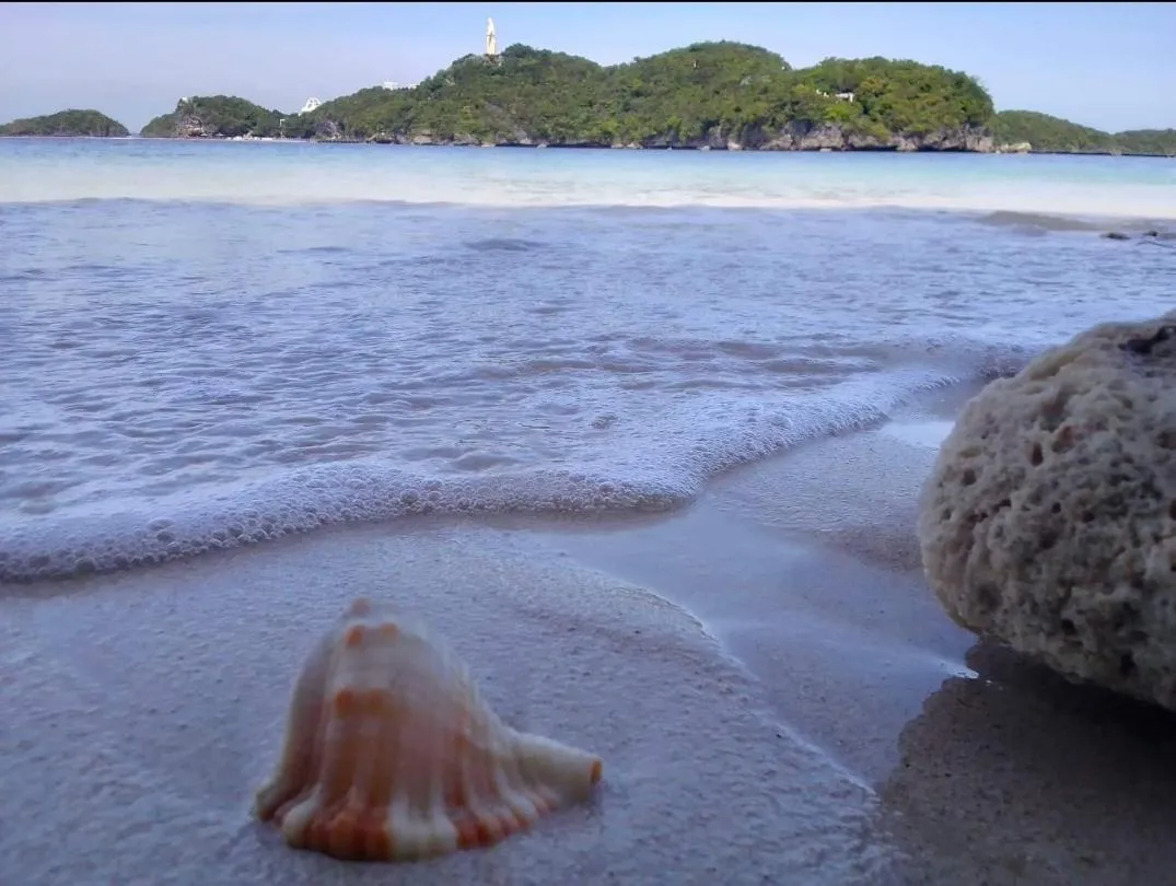 Carribean Transient House