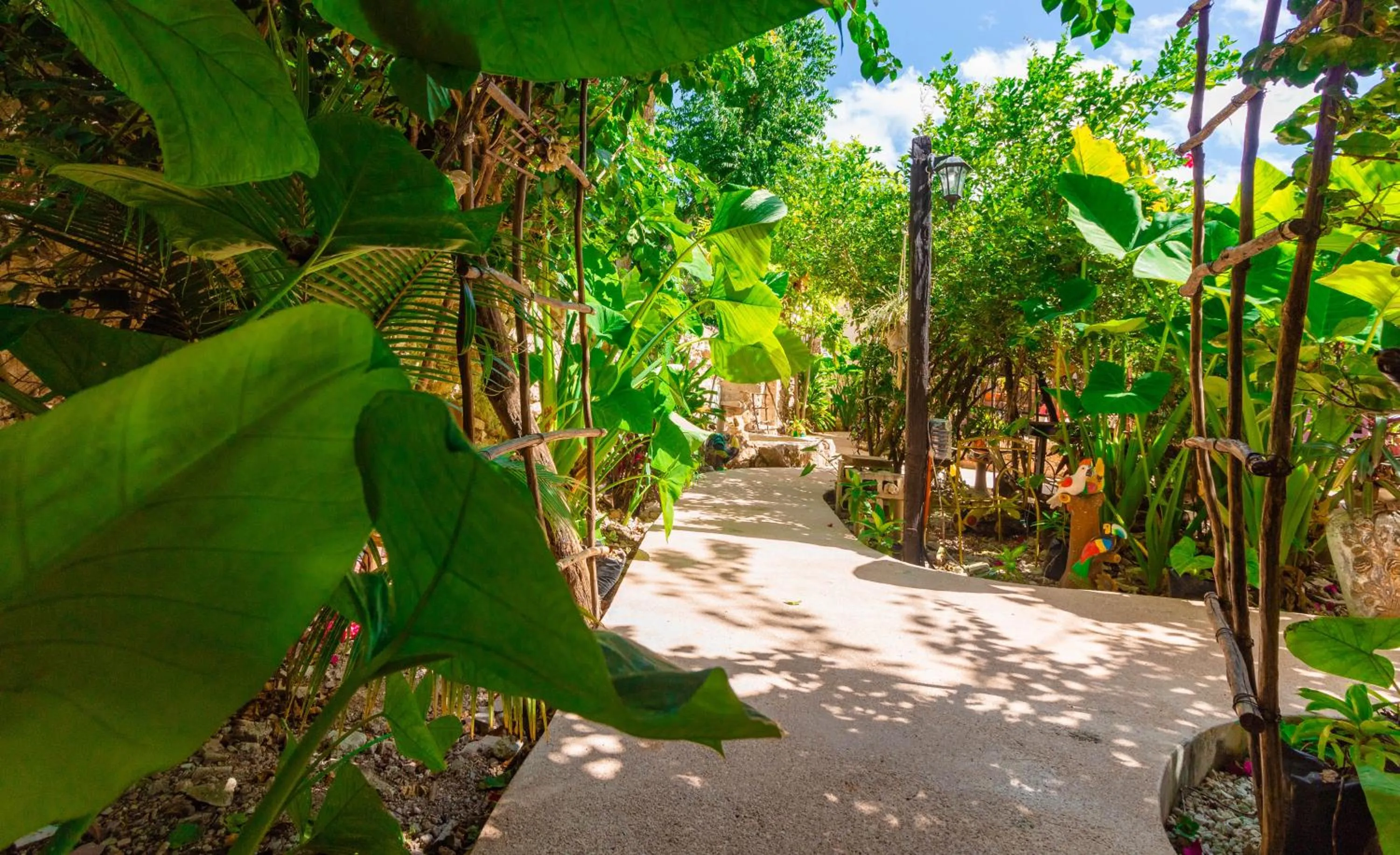Patio in Casa Daniels Guesthouse