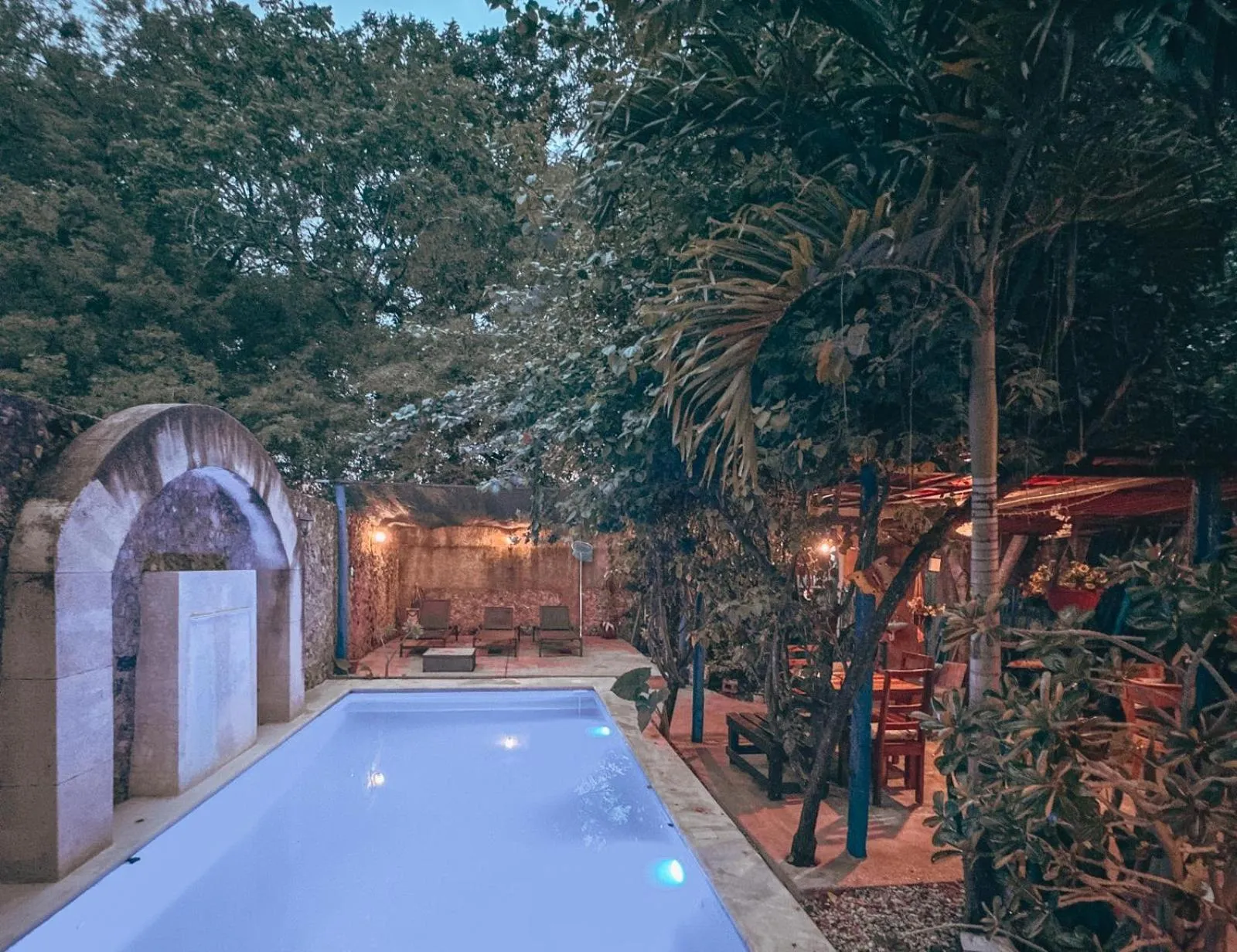 Garden in Casa Daniels Guesthouse