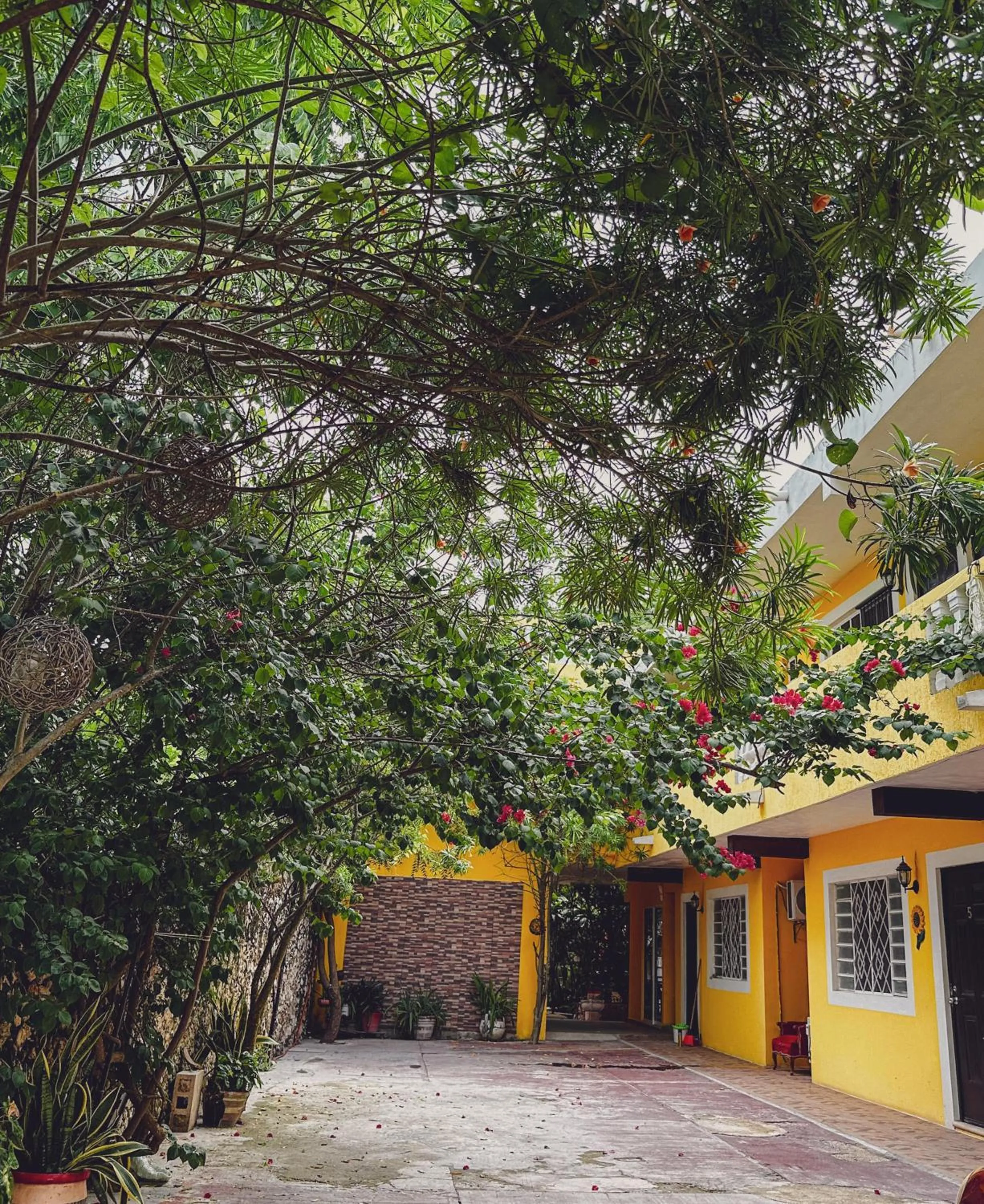 Property building in Casa Daniels Guesthouse