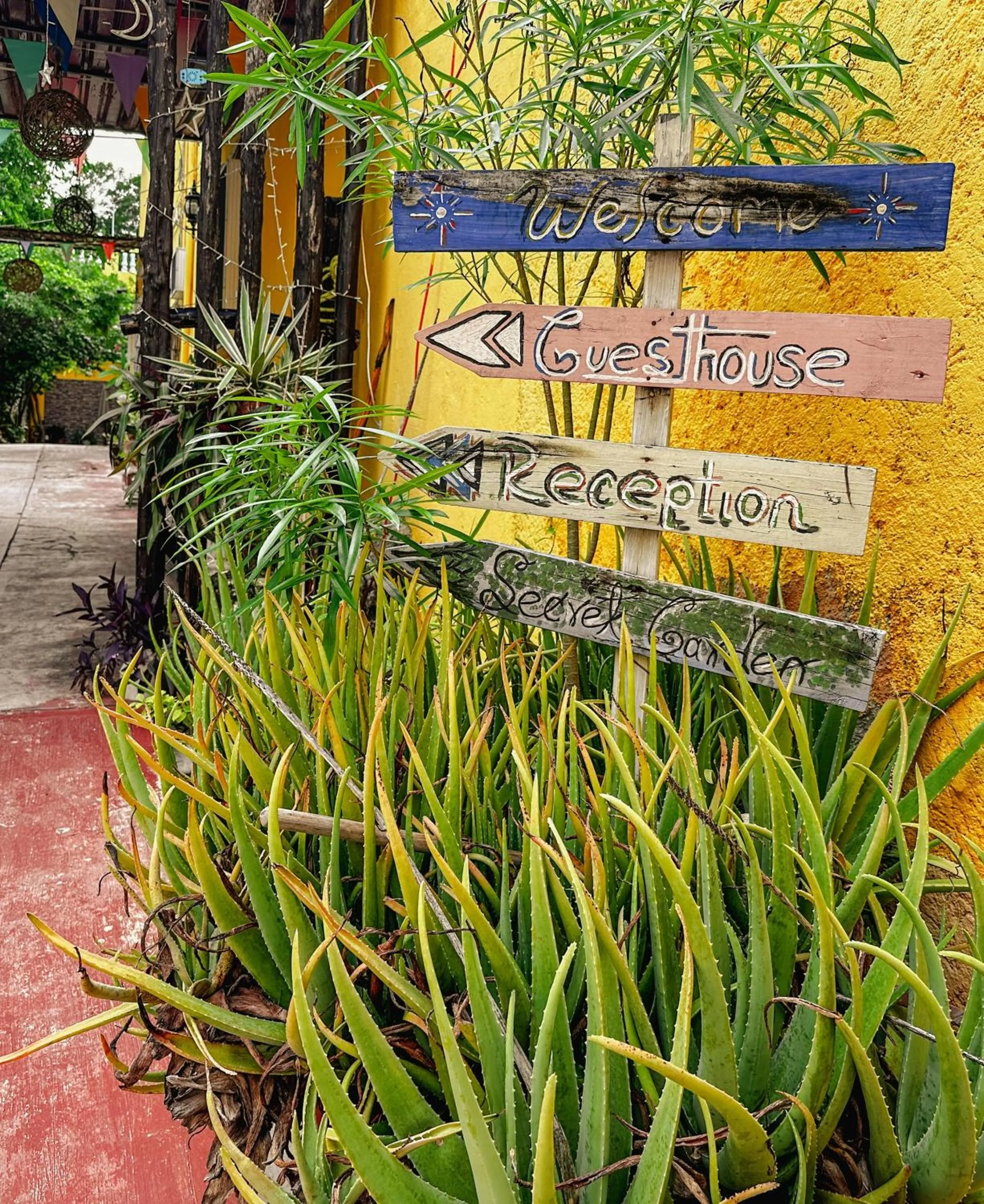 Day in Casa Daniels Guesthouse