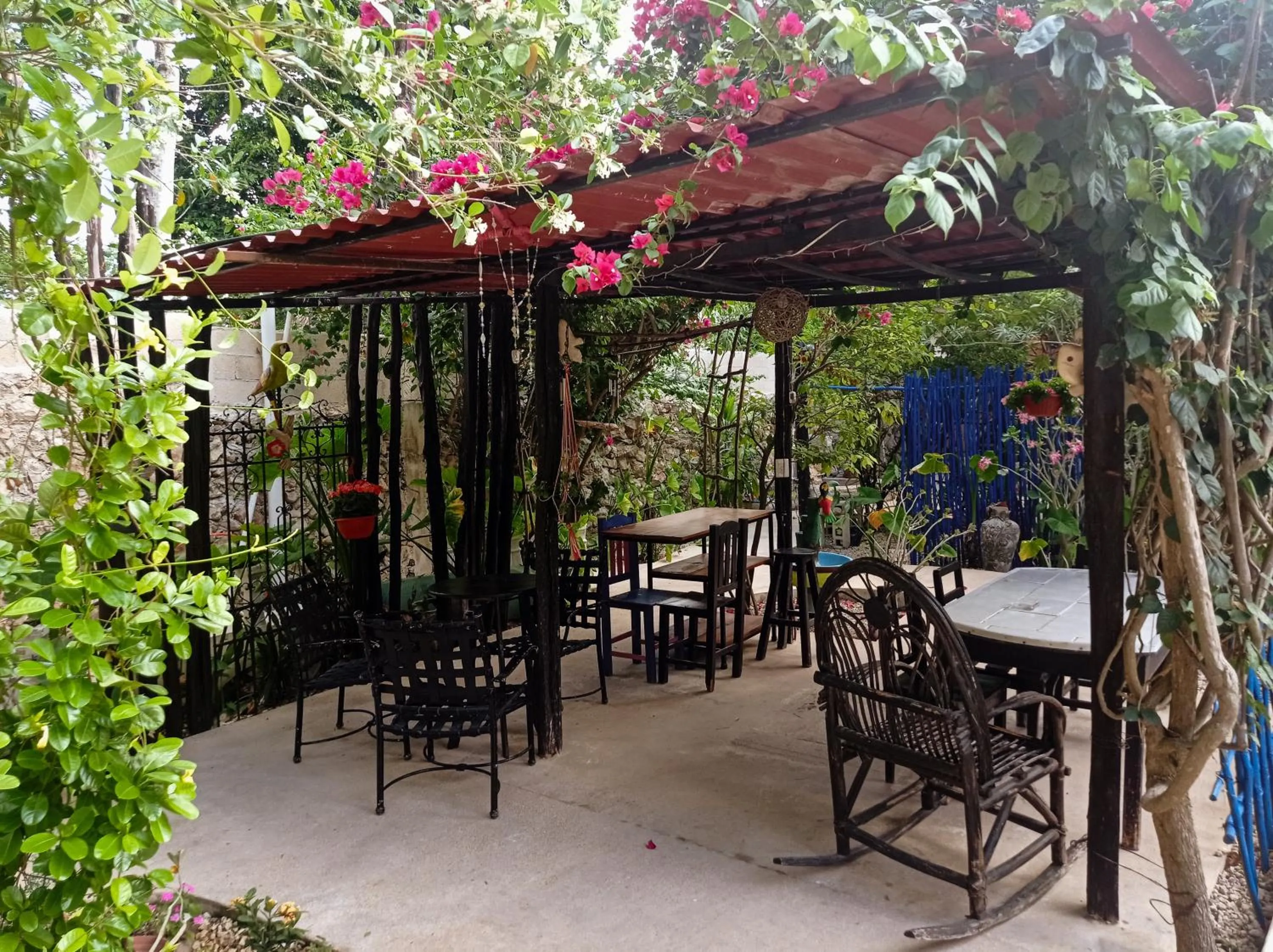 Garden in Casa Daniels Guesthouse