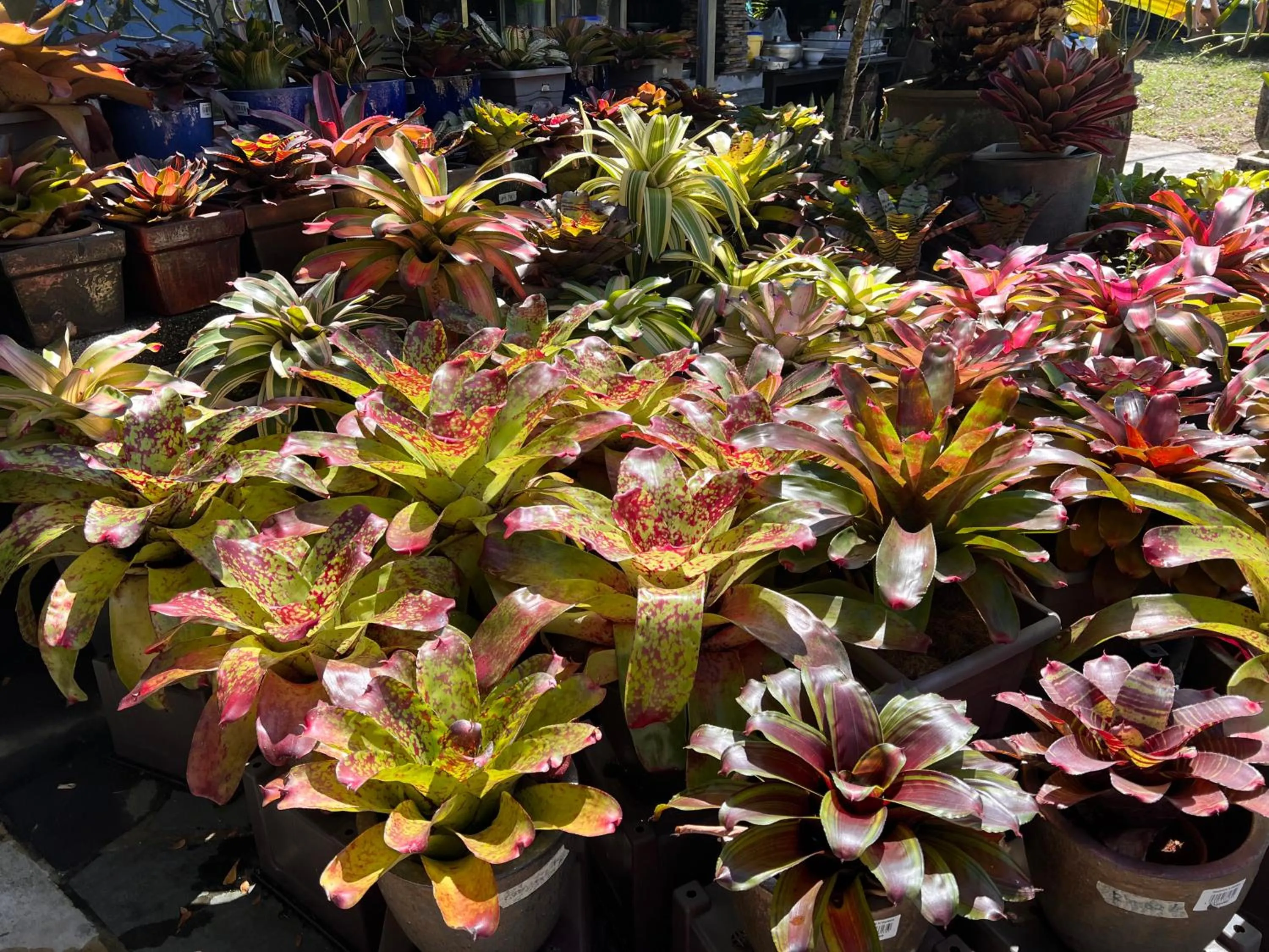 Restaurant/places to eat in The Green Cottage