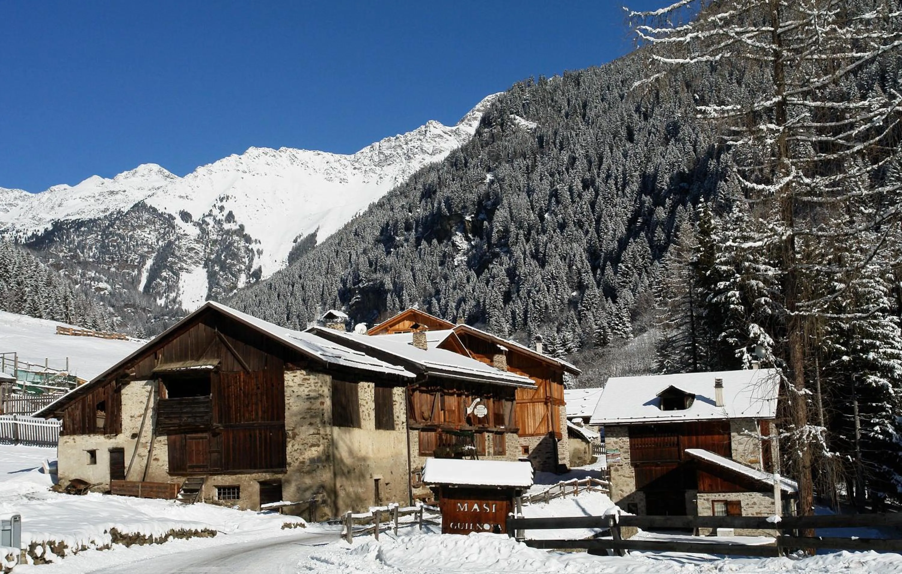 Facade/entrance in Hotel Chalet Alpenrose Bio Wellness Naturaktivhotel
