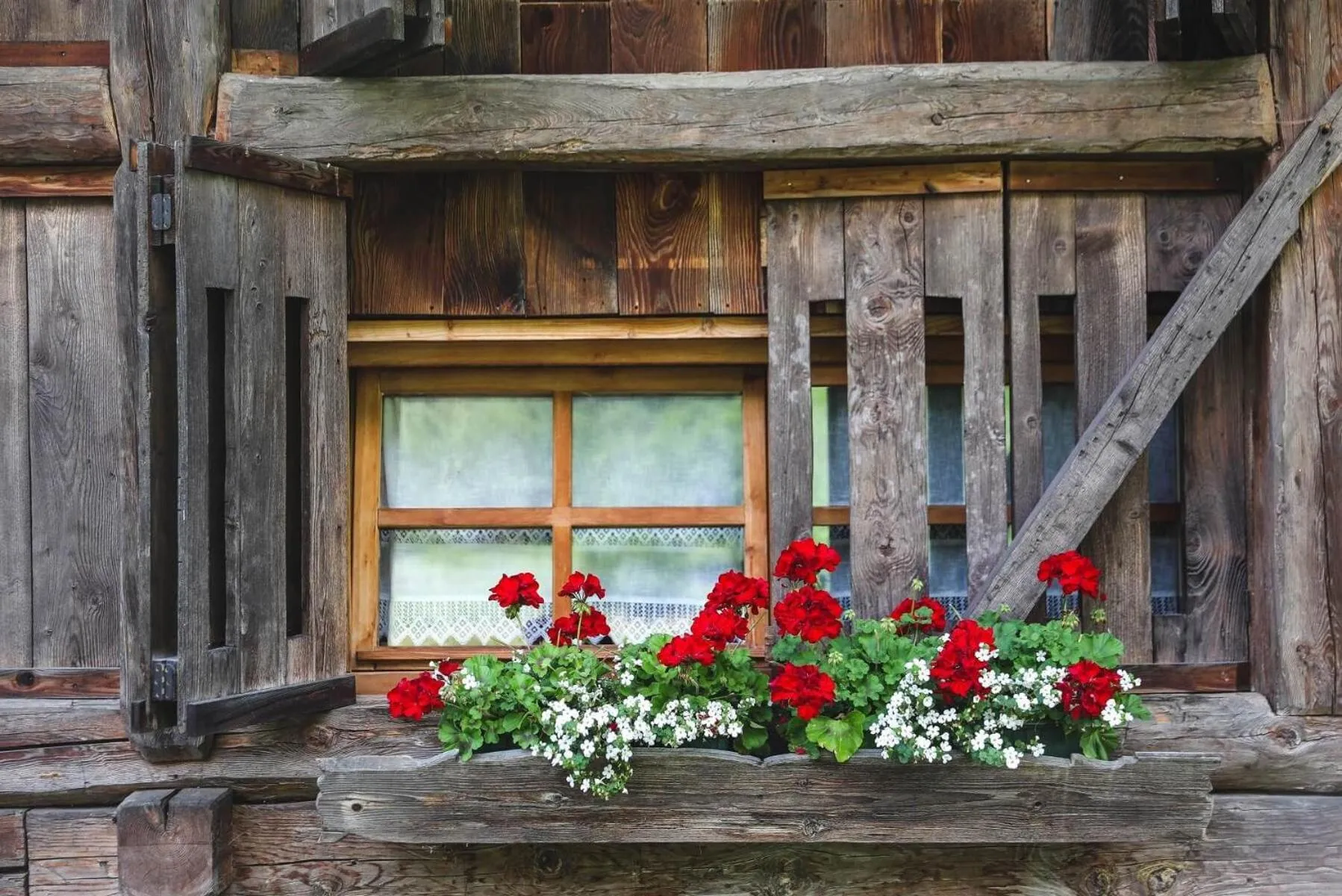 Area and facilities in Hotel Chalet Alpenrose Bio Wellness Naturaktivhotel