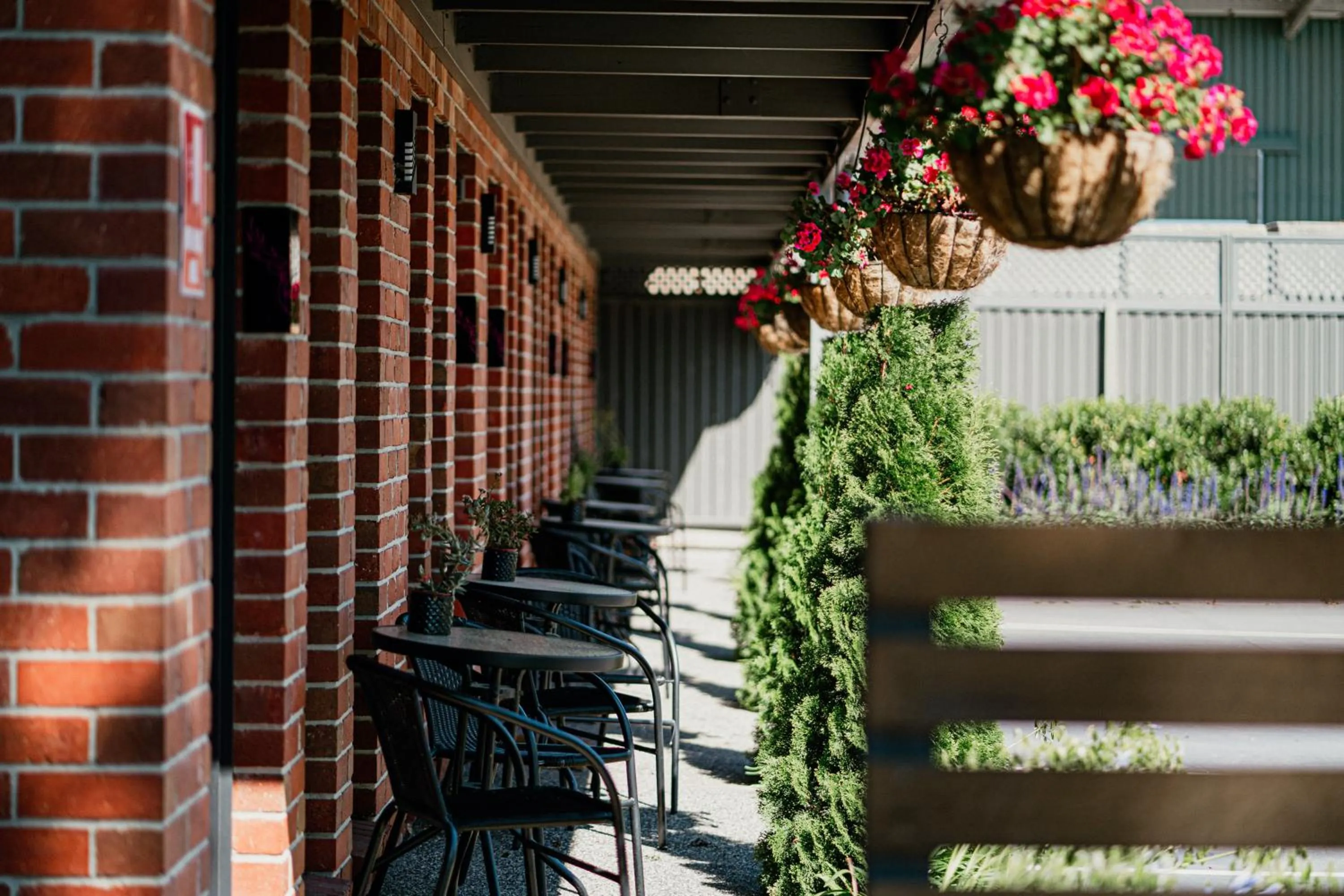Garden in Daylesford Art Motel