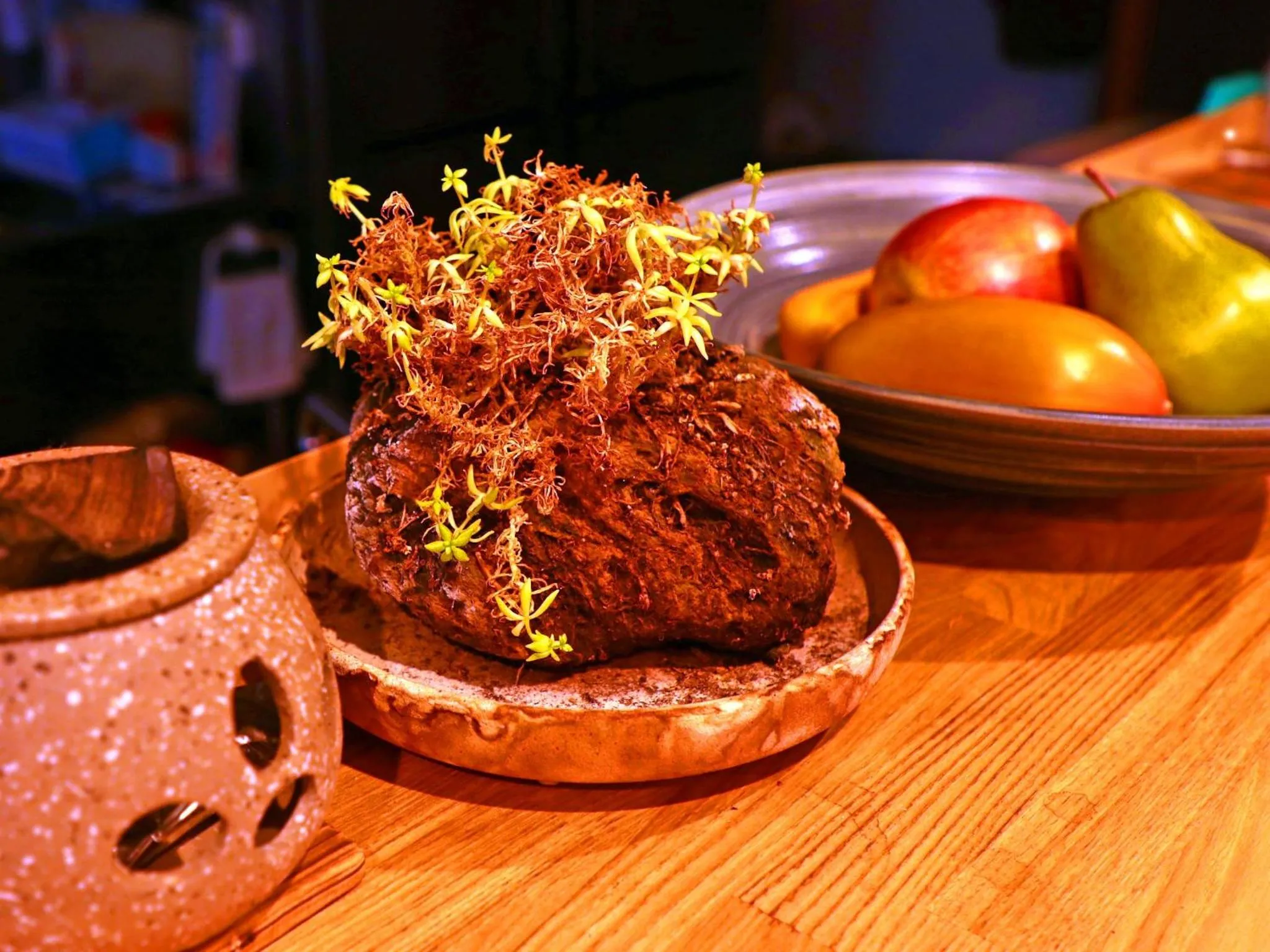 Restaurant/places to eat in Izu Kansya