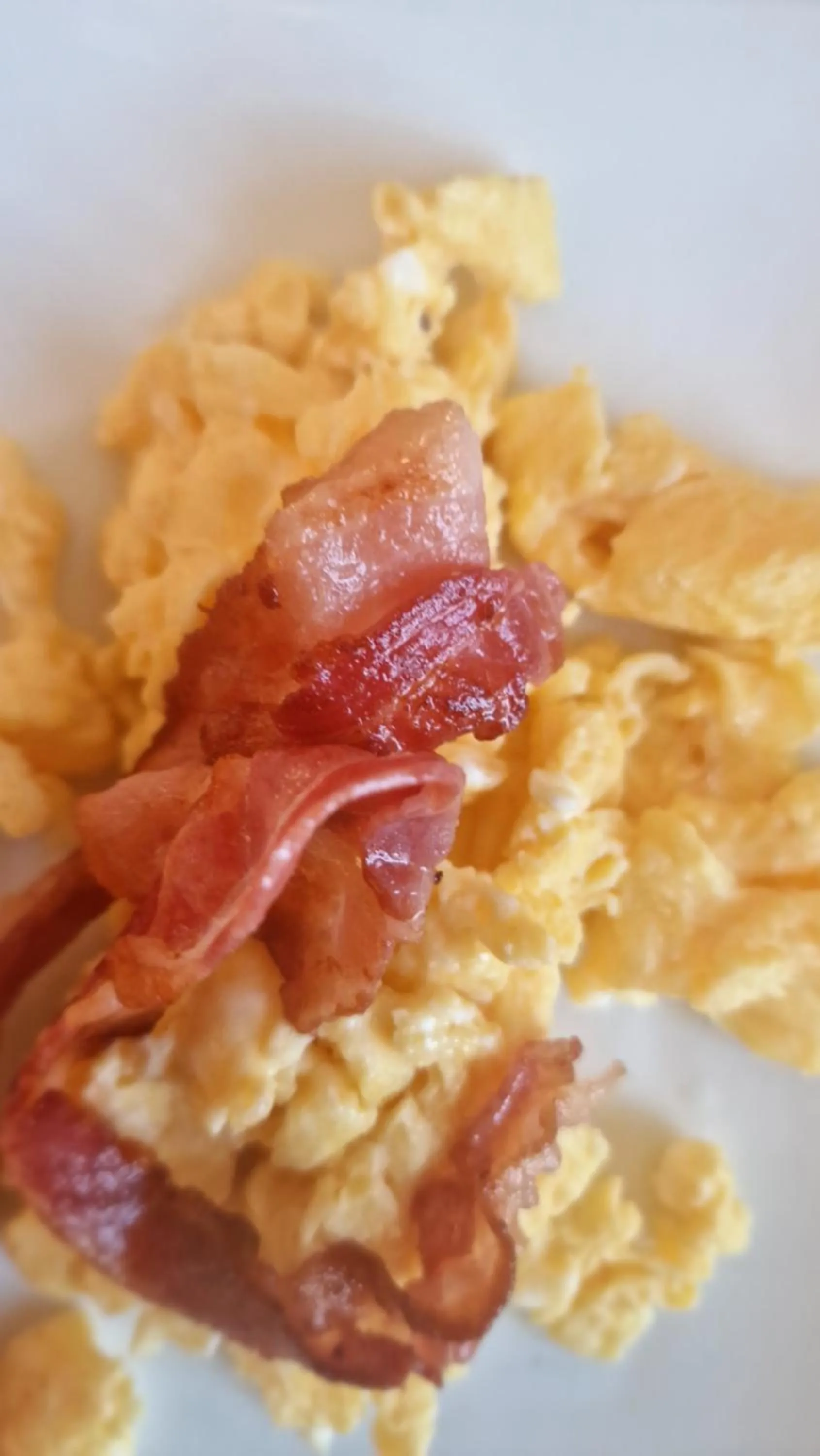 Breakfast in QuodLibet