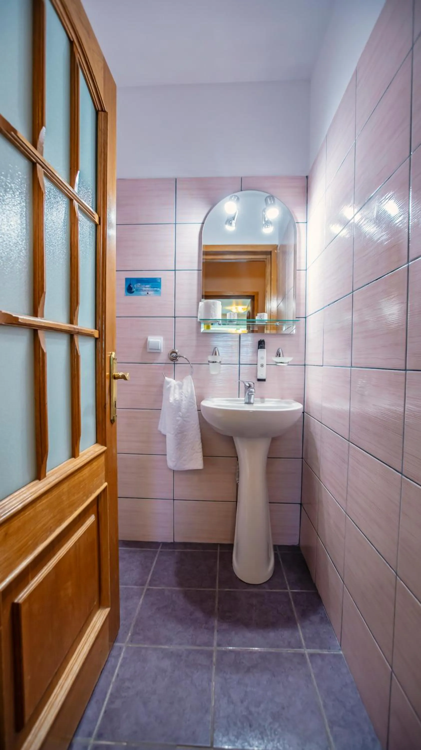 Bathroom in Conacul Domnesc