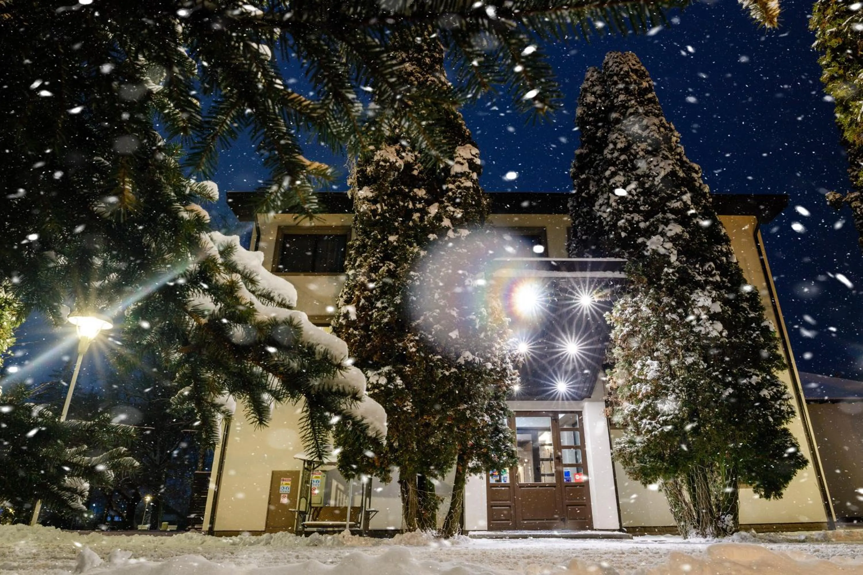 Property building in Conacul Domnesc