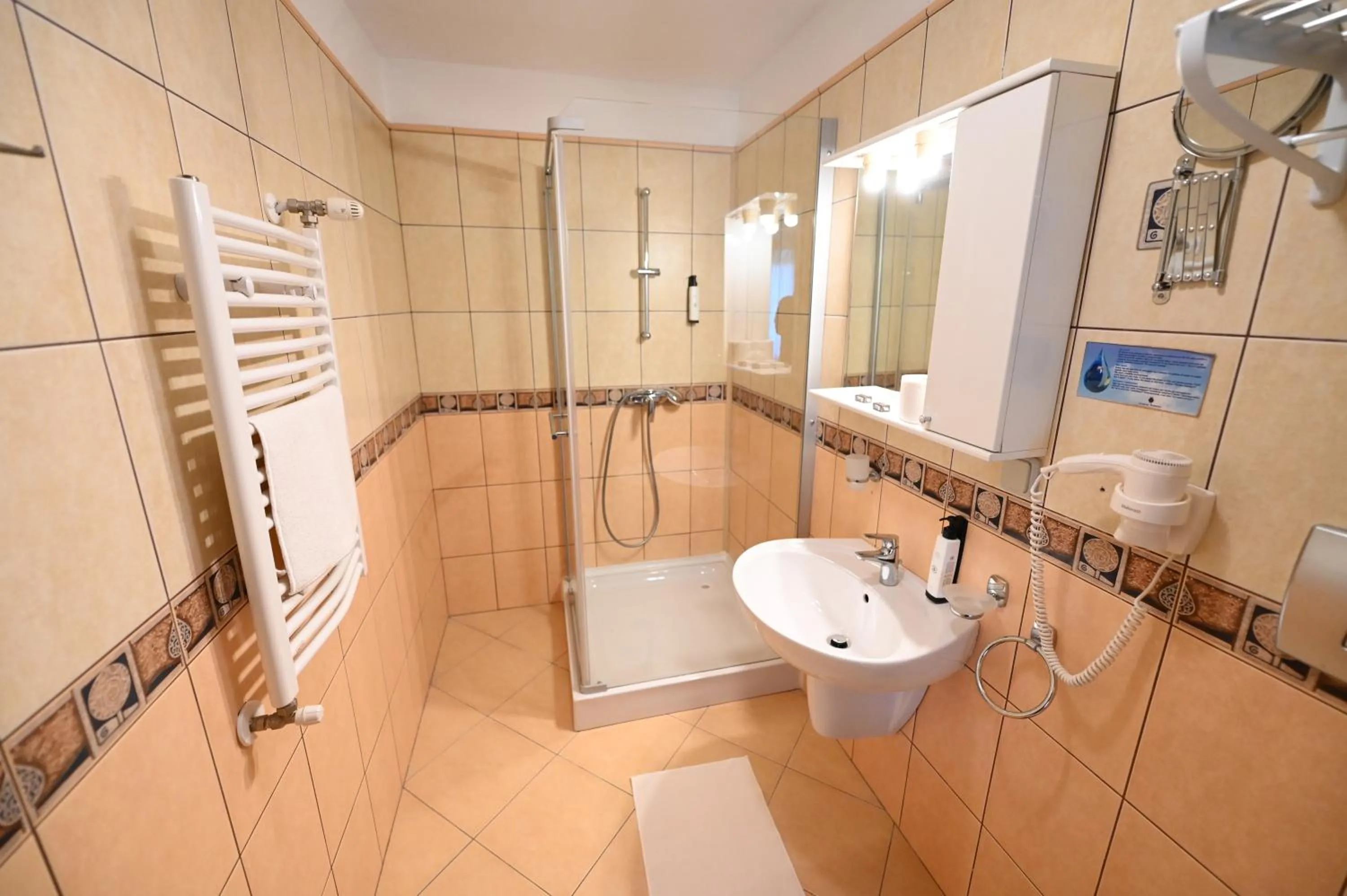 Shower in Conacul Domnesc