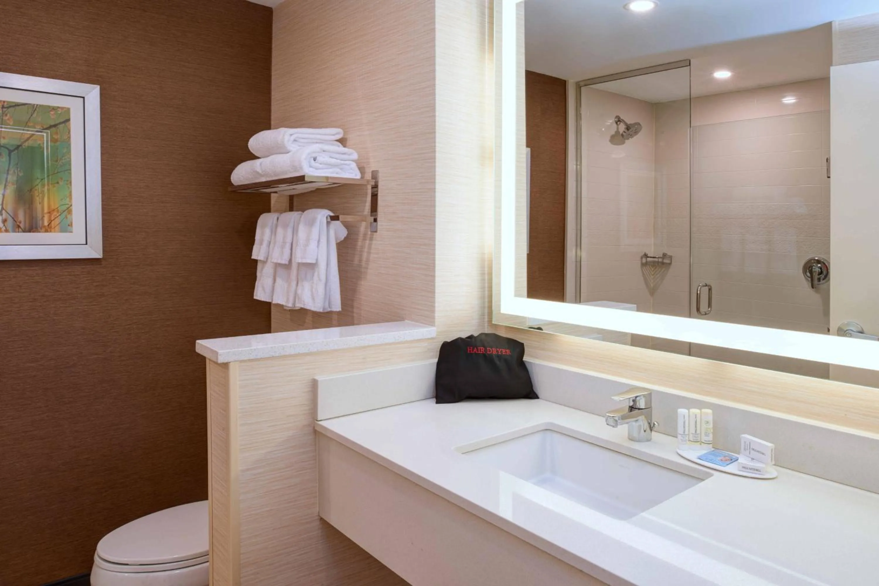Bathroom in Fairfield Inn & Suites By Marriott Ann Arbor Ypsilanti
