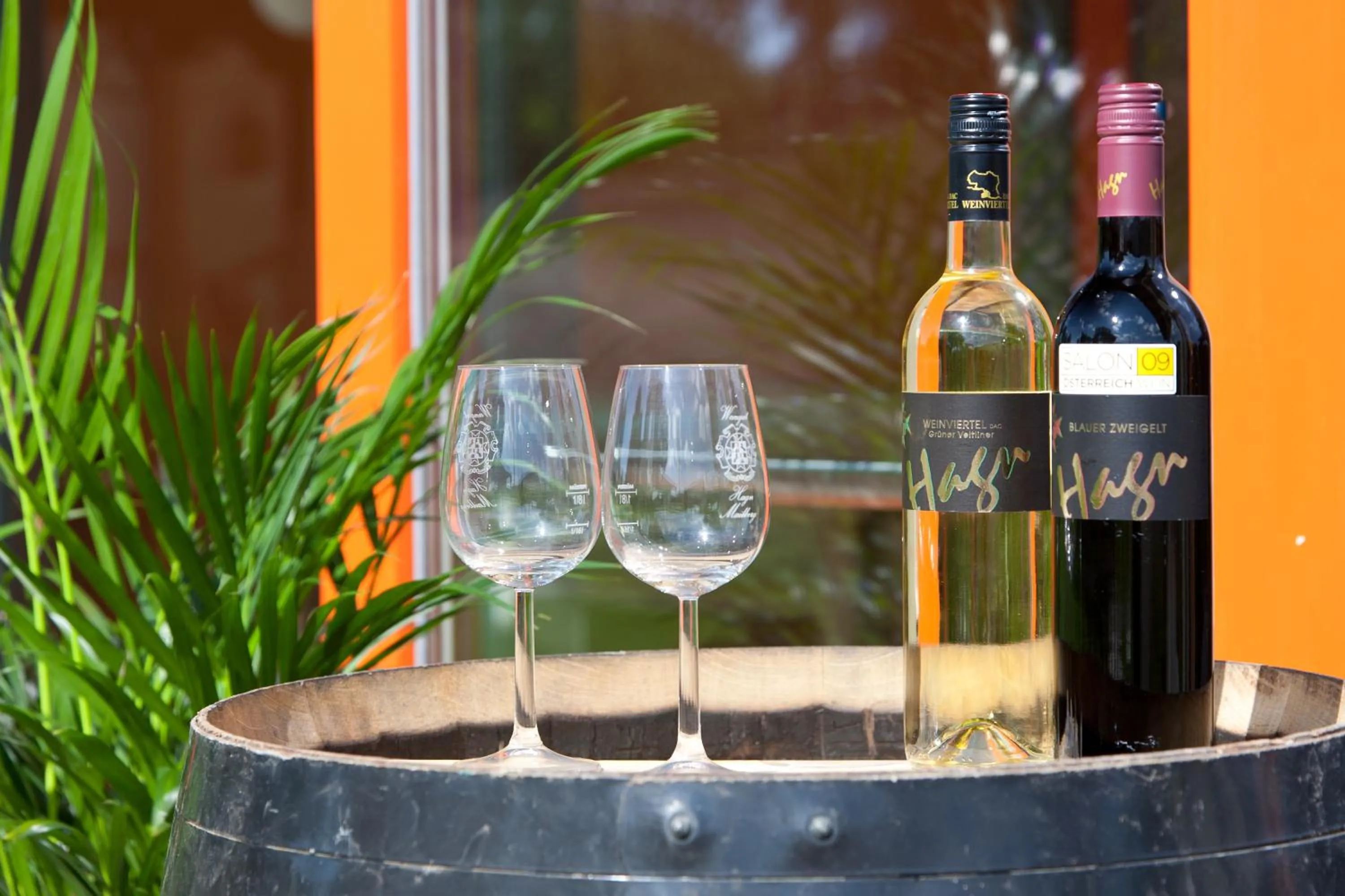 Drinks in JUFA Hotel Weinviertel - Eselsmühle