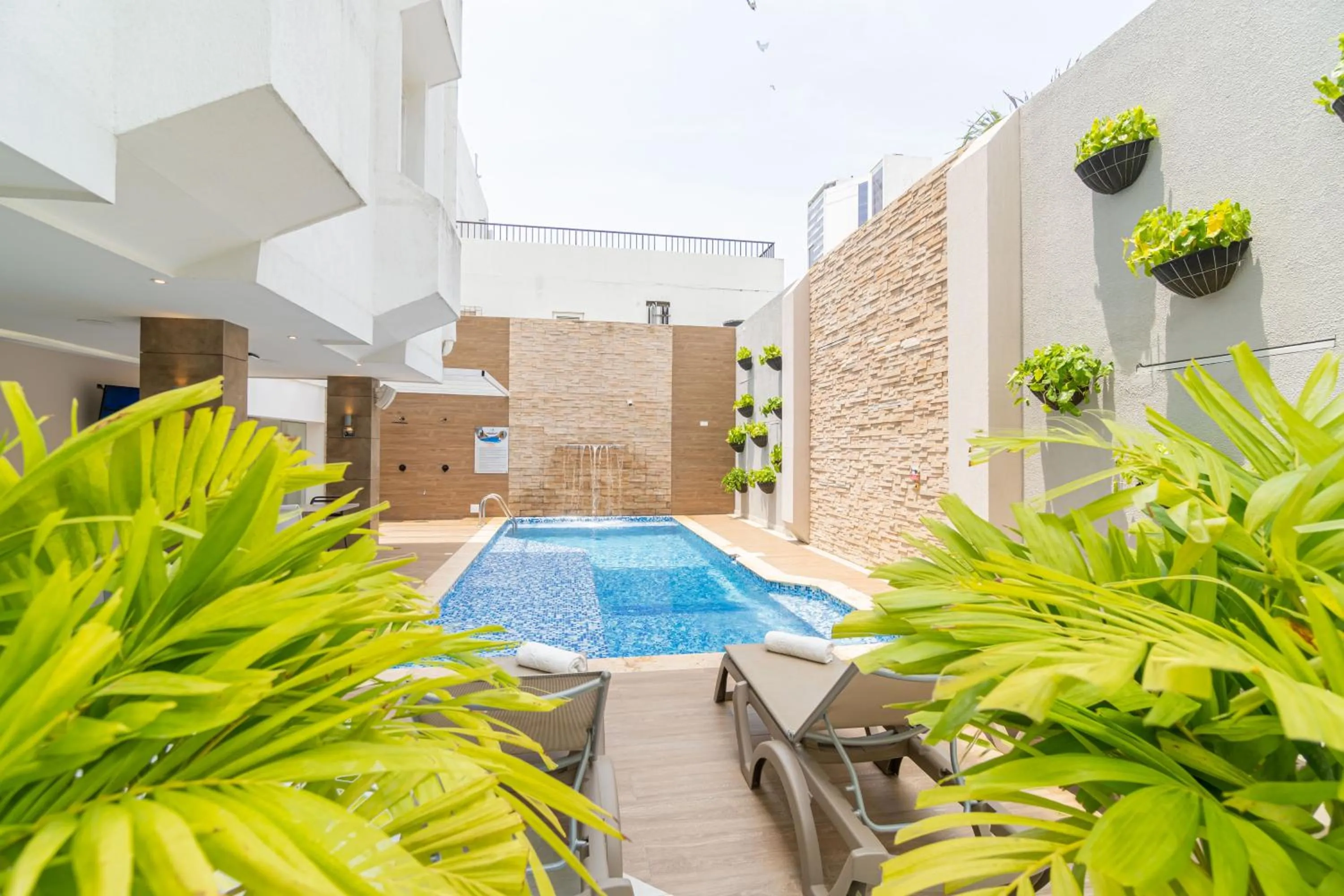 Swimming pool in Hotel Barlovento