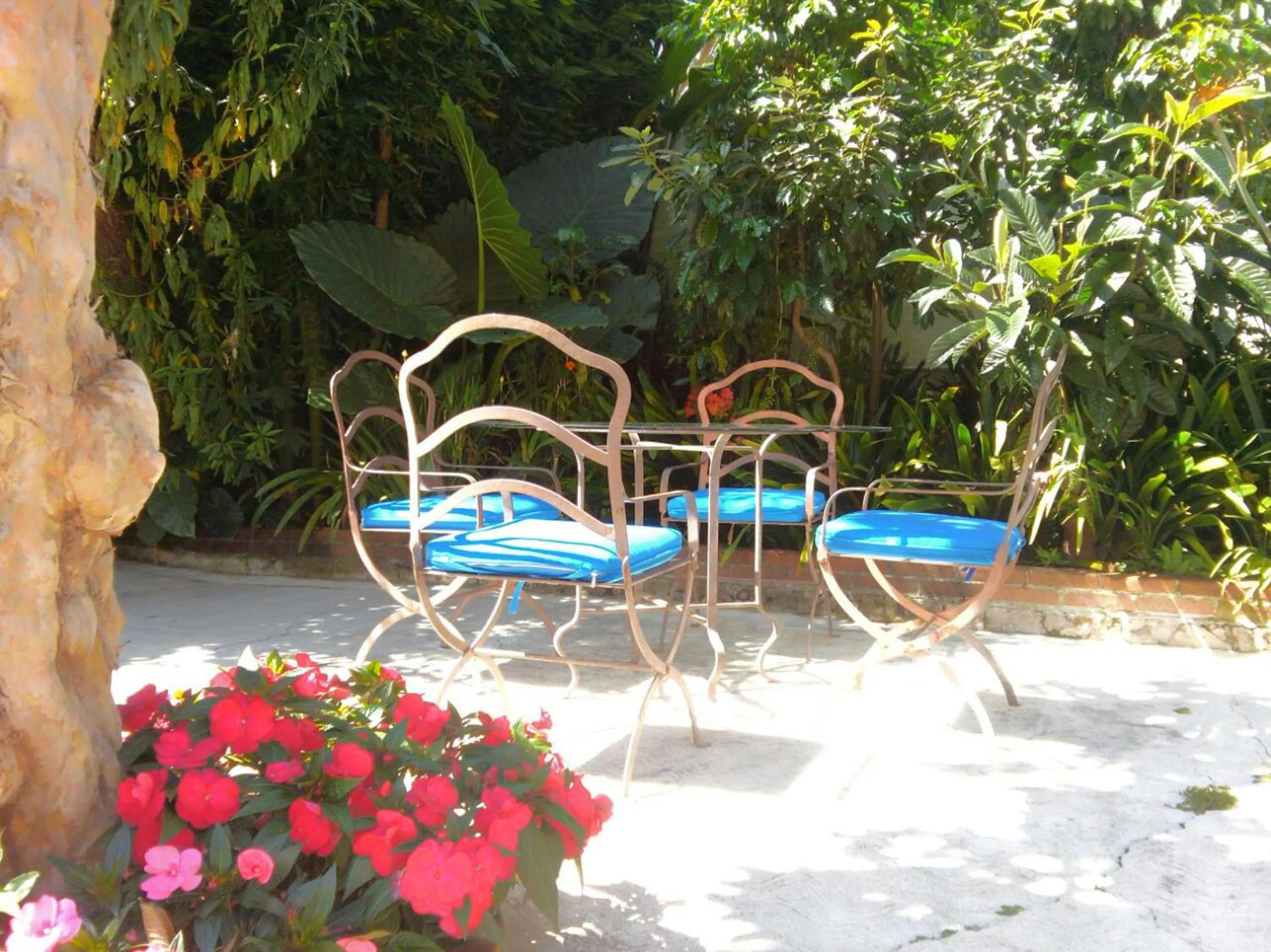 Patio in La Casona Breakfast & Wellness Center