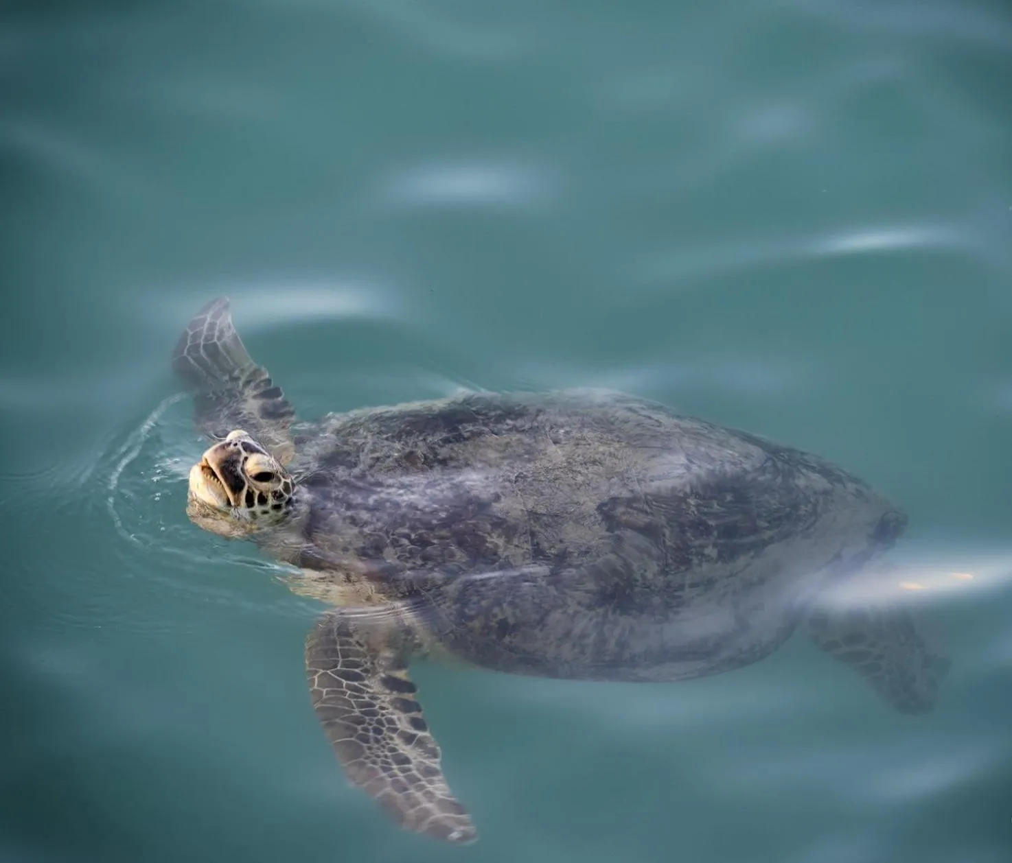 Sea view in Peninsula Airlie Beach