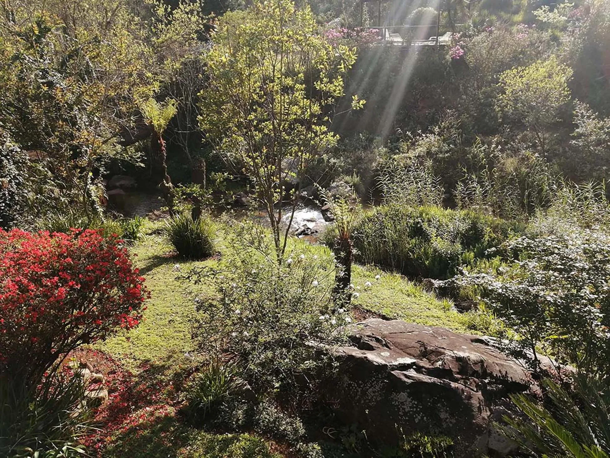 Garden in Sabie Star