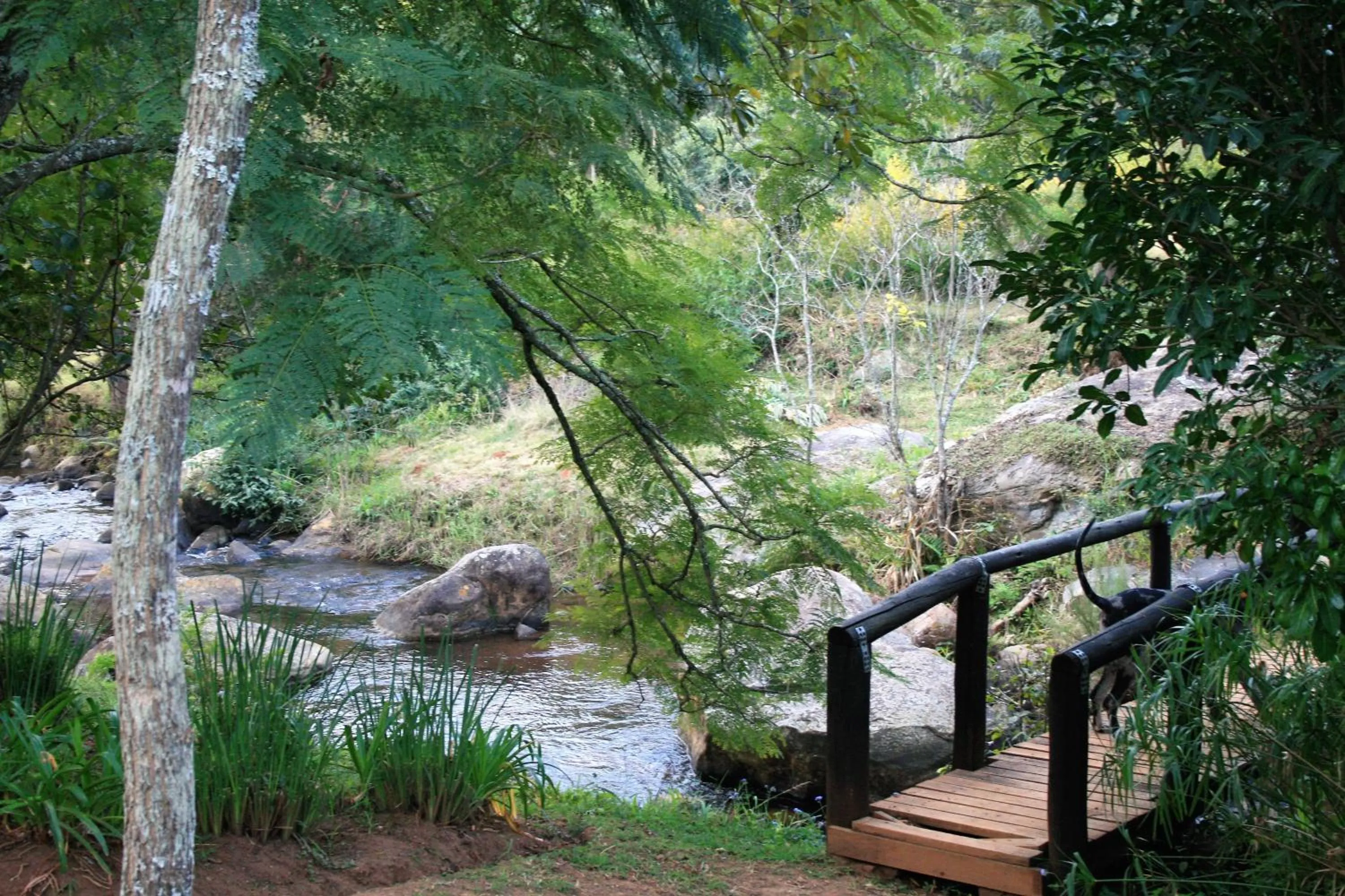 Garden in Sabie Star