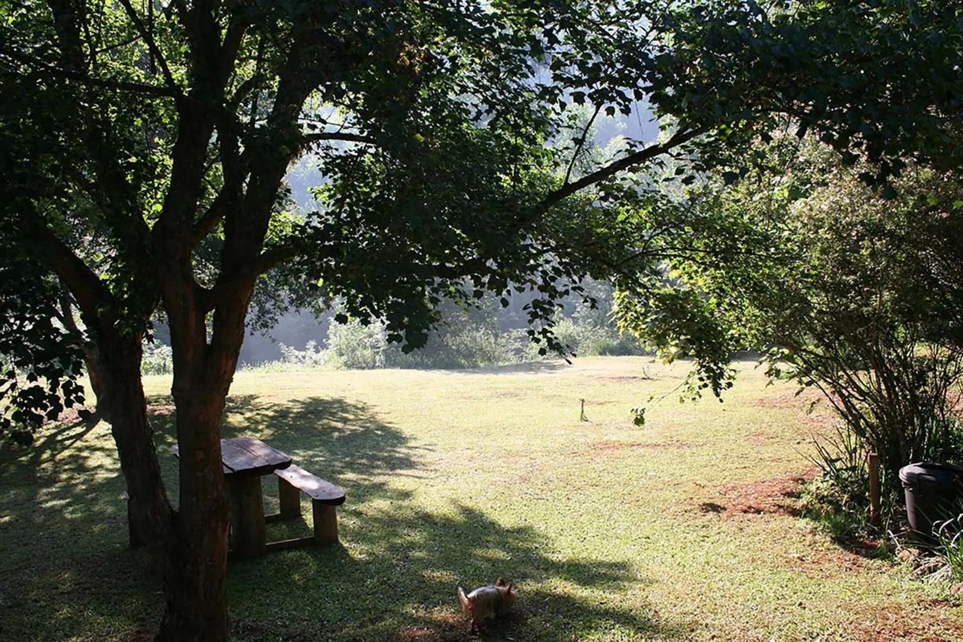 Garden in Sabie Star