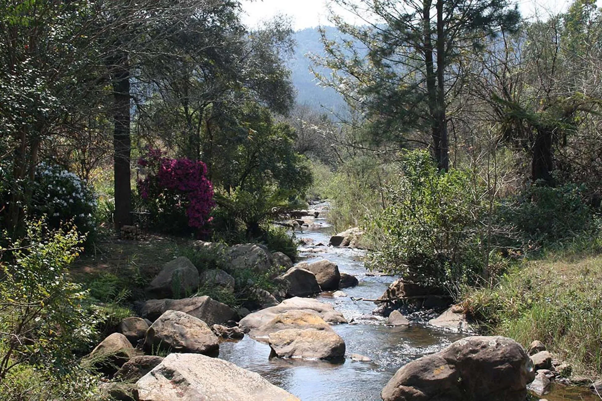 Garden in Sabie Star