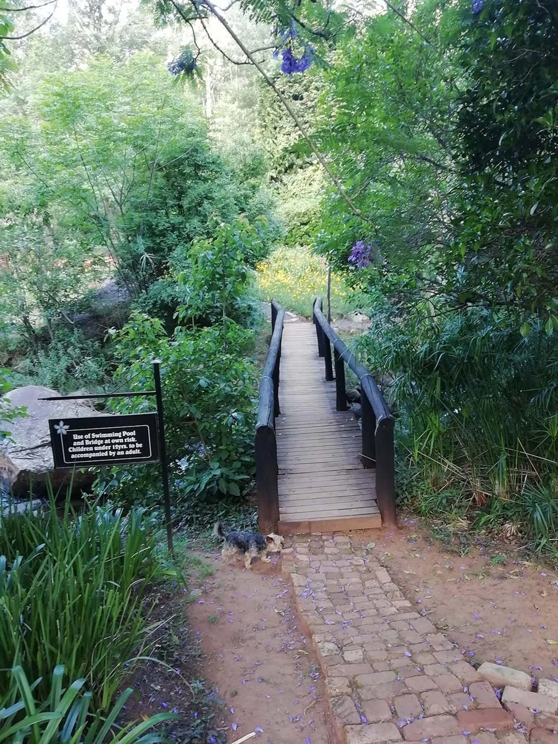 Garden in Sabie Star