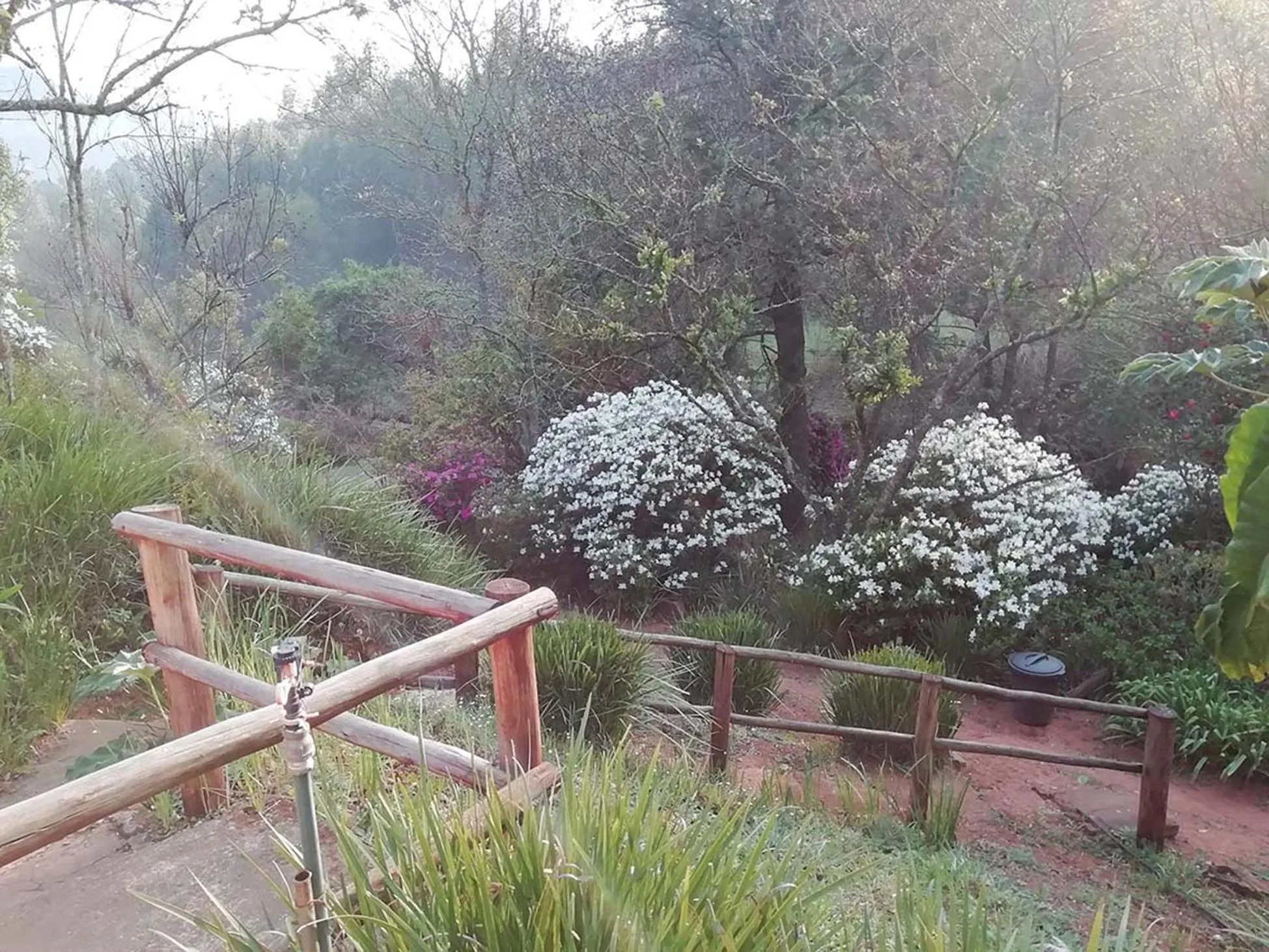 Garden in Sabie Star