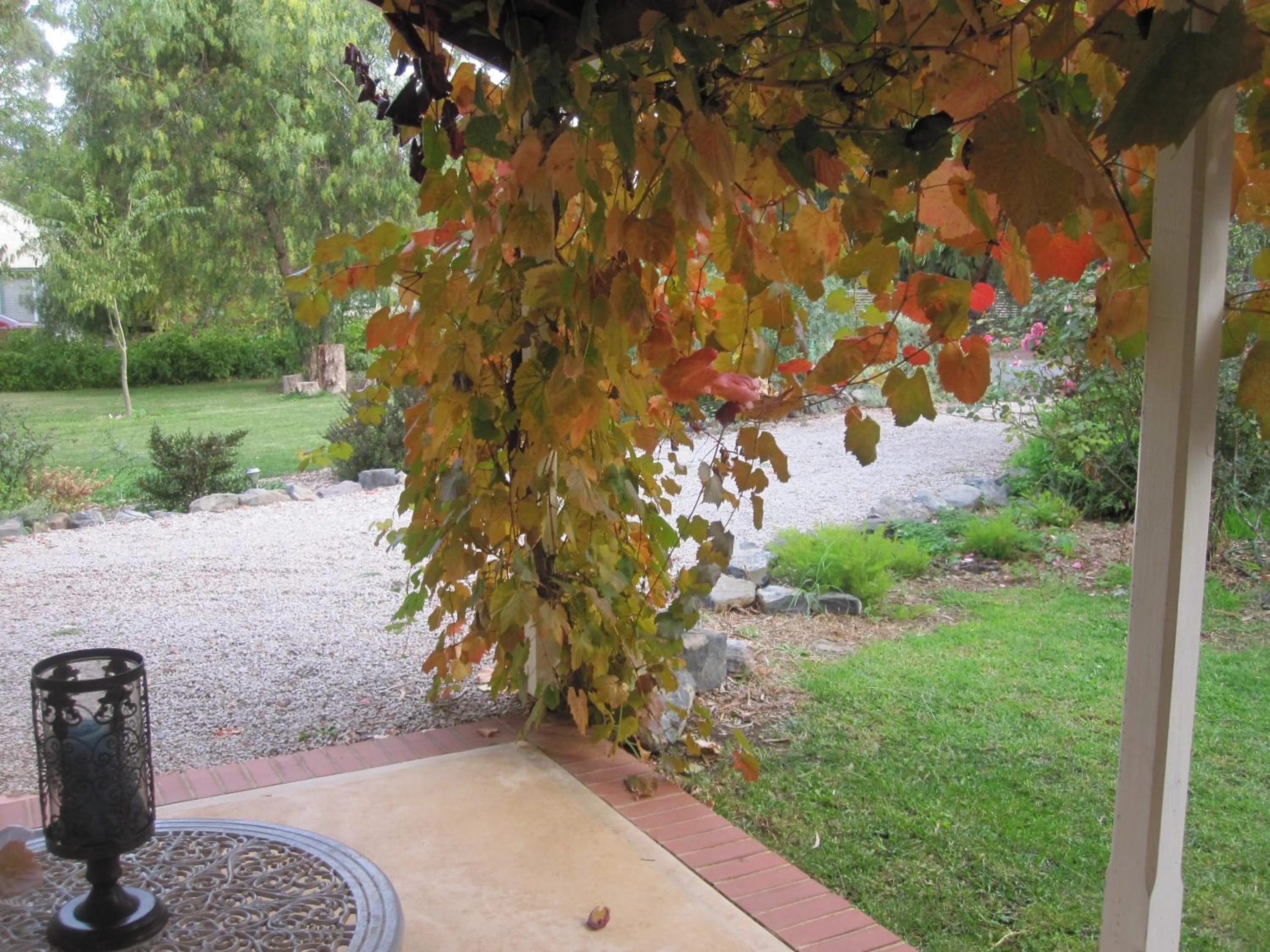 Balcony/Terrace in Amy's House Bed & Breakfast