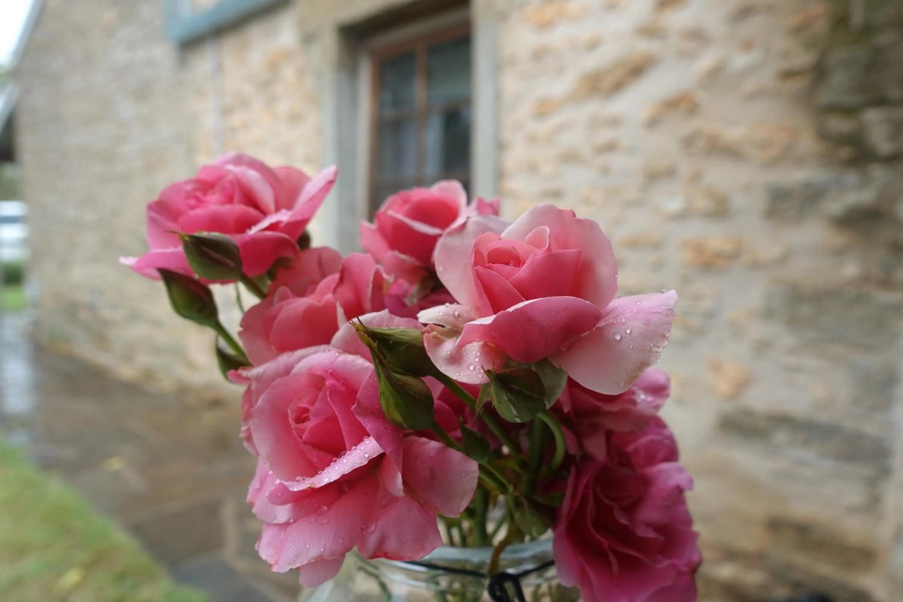 Patio in Amy's House Bed & Breakfast