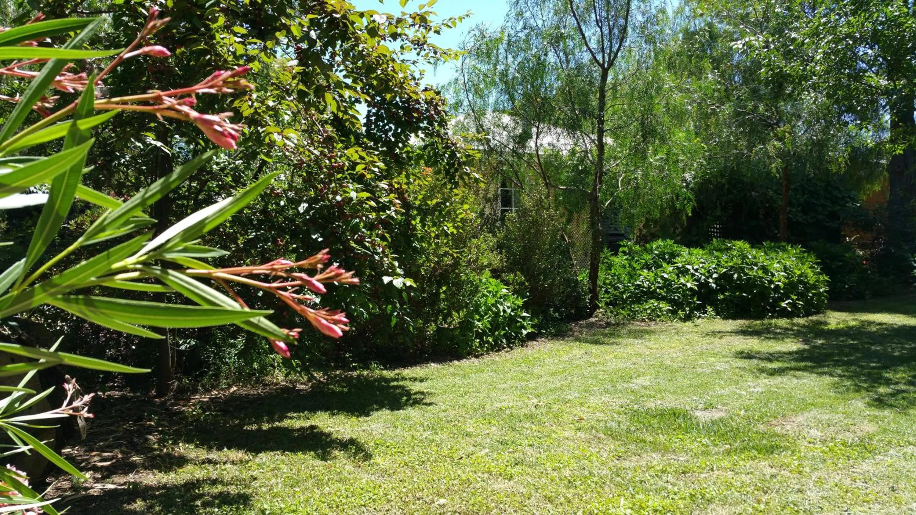 Amy's House Bed & Breakfast