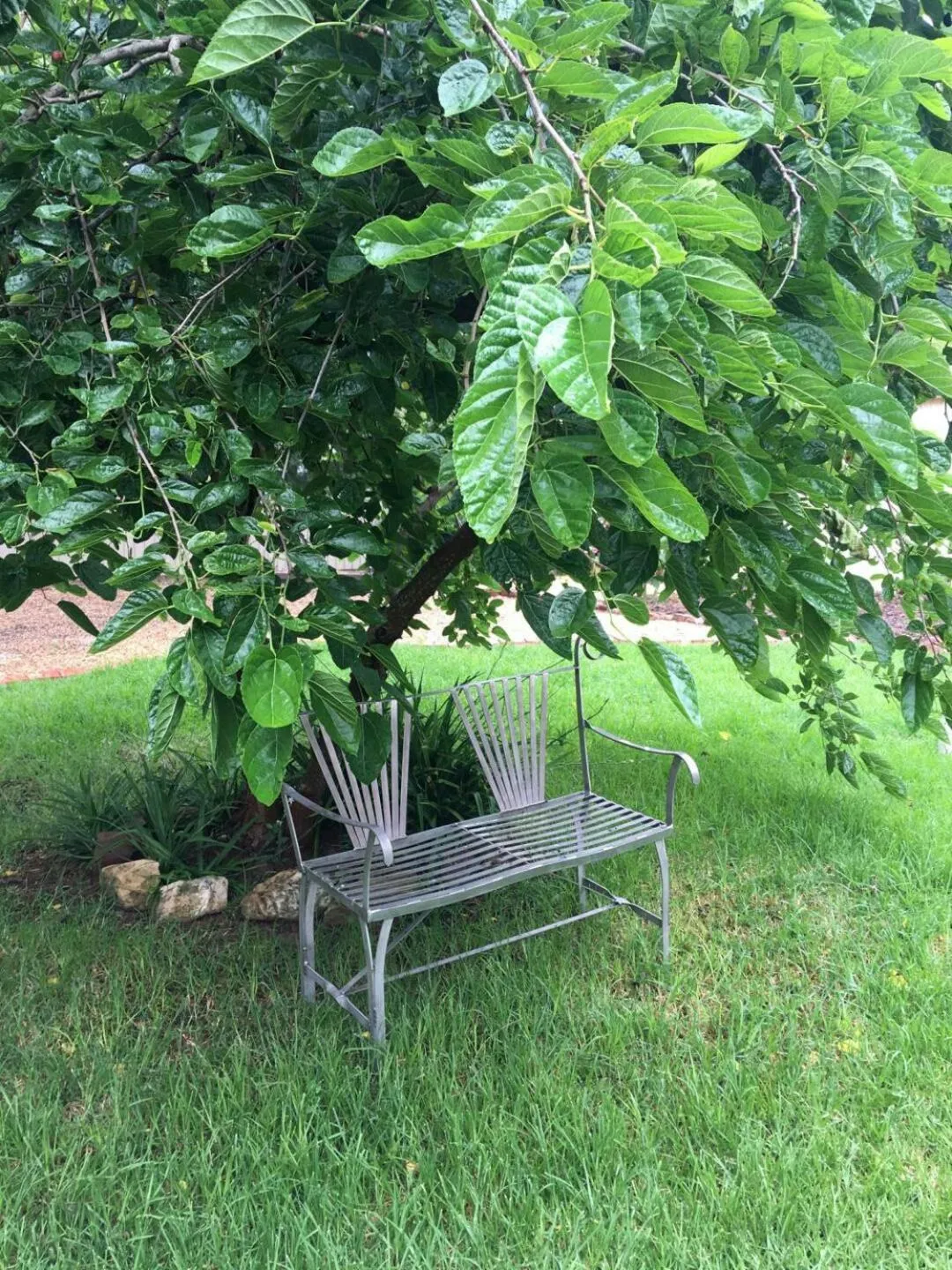 Garden in Amy's House Bed & Breakfast